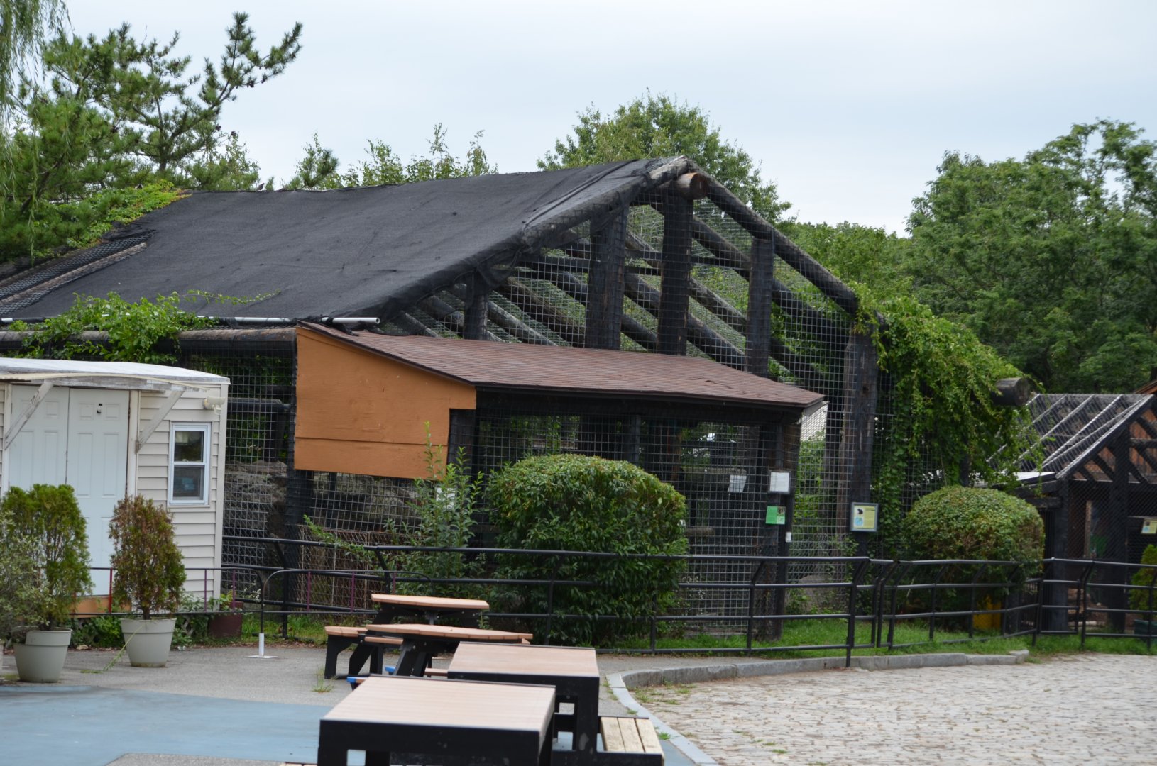 Himalayan Black Bear / Macaw Enclosure