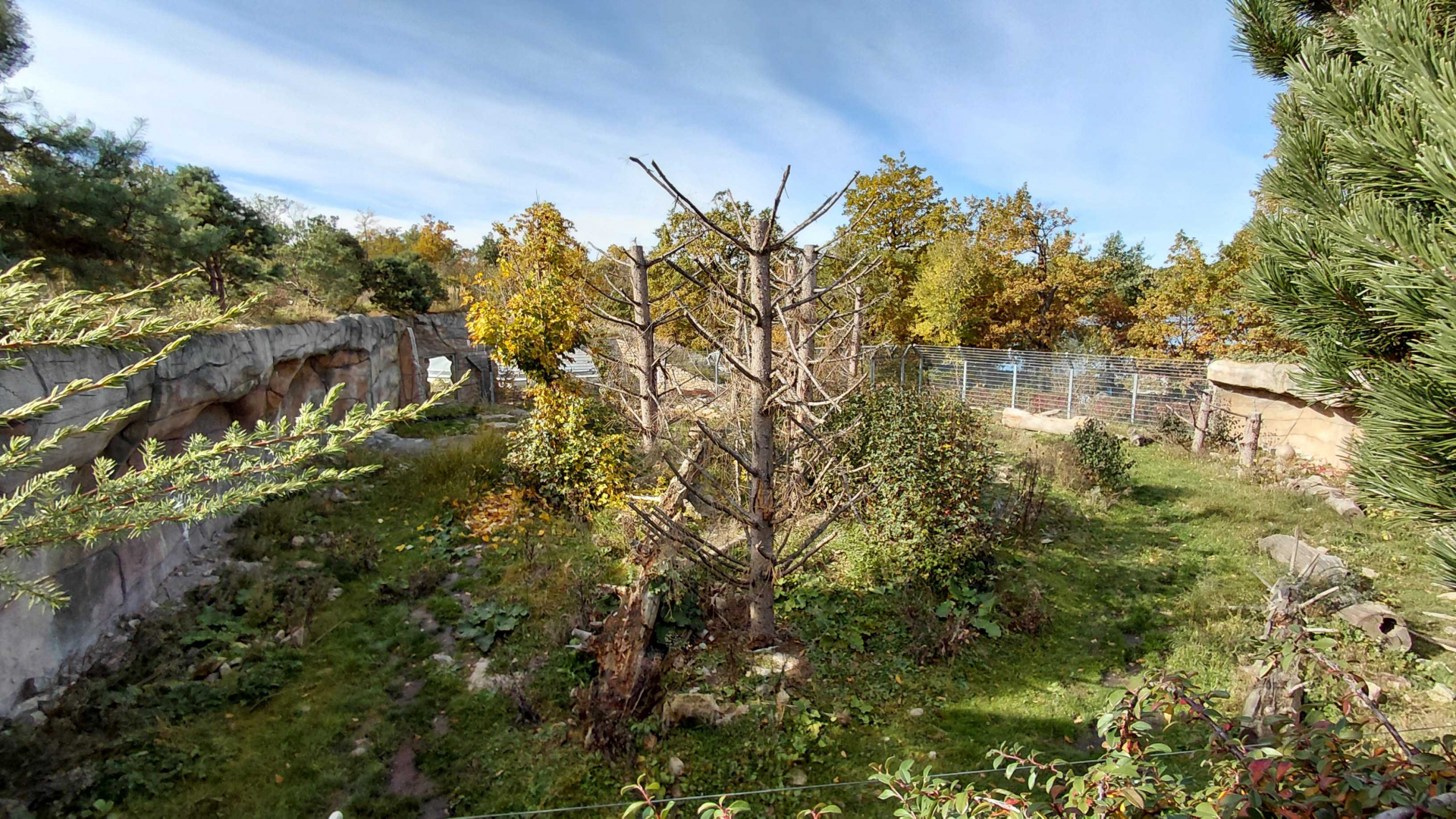 Himalayan brown bear exhibit