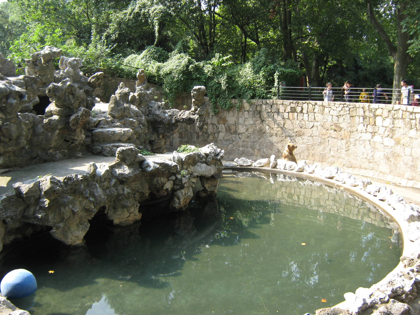 Himalayan brown bear (Ursus arctos isabellinus) enclosure