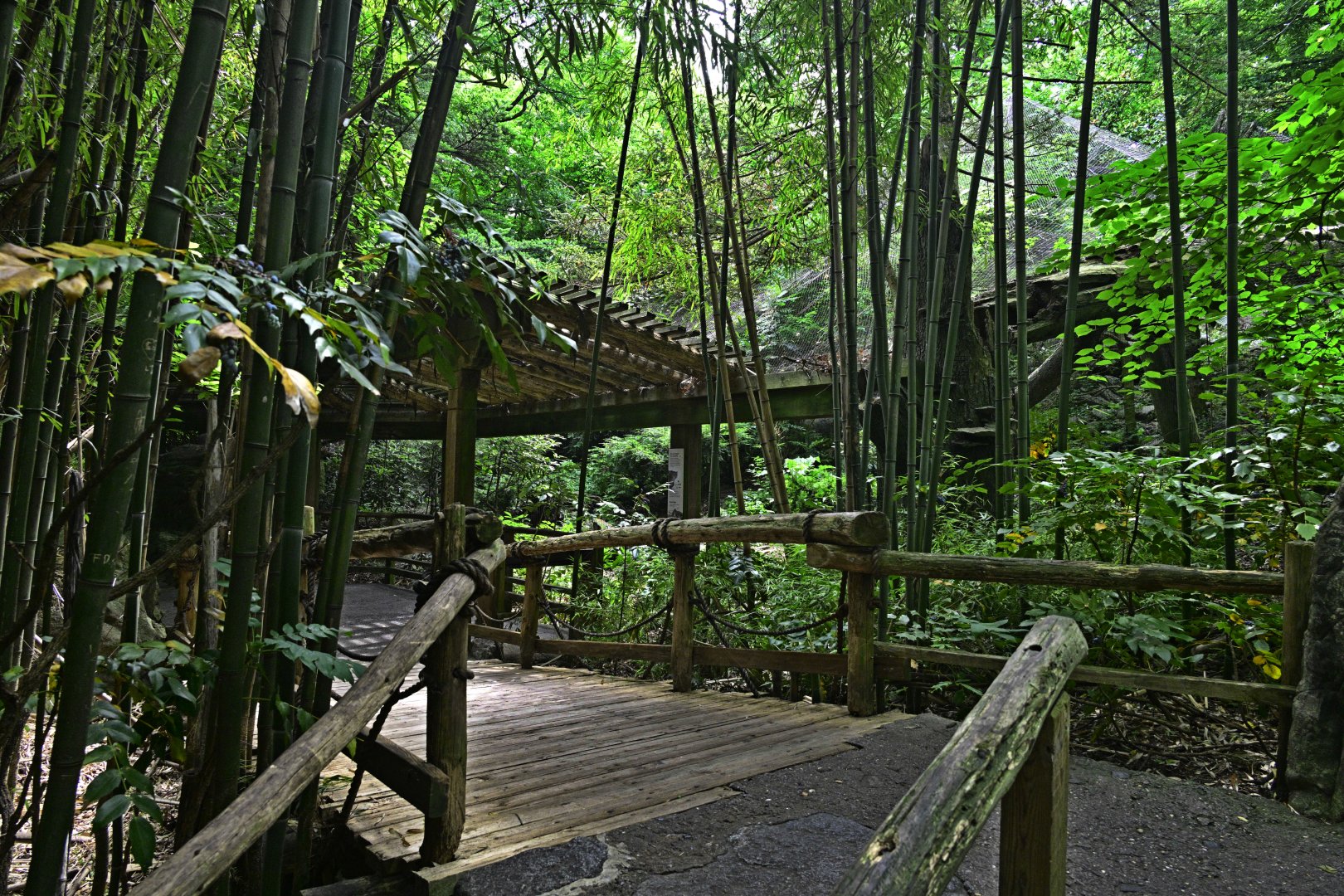 Himalayan Highlands - Landscape and Scenery