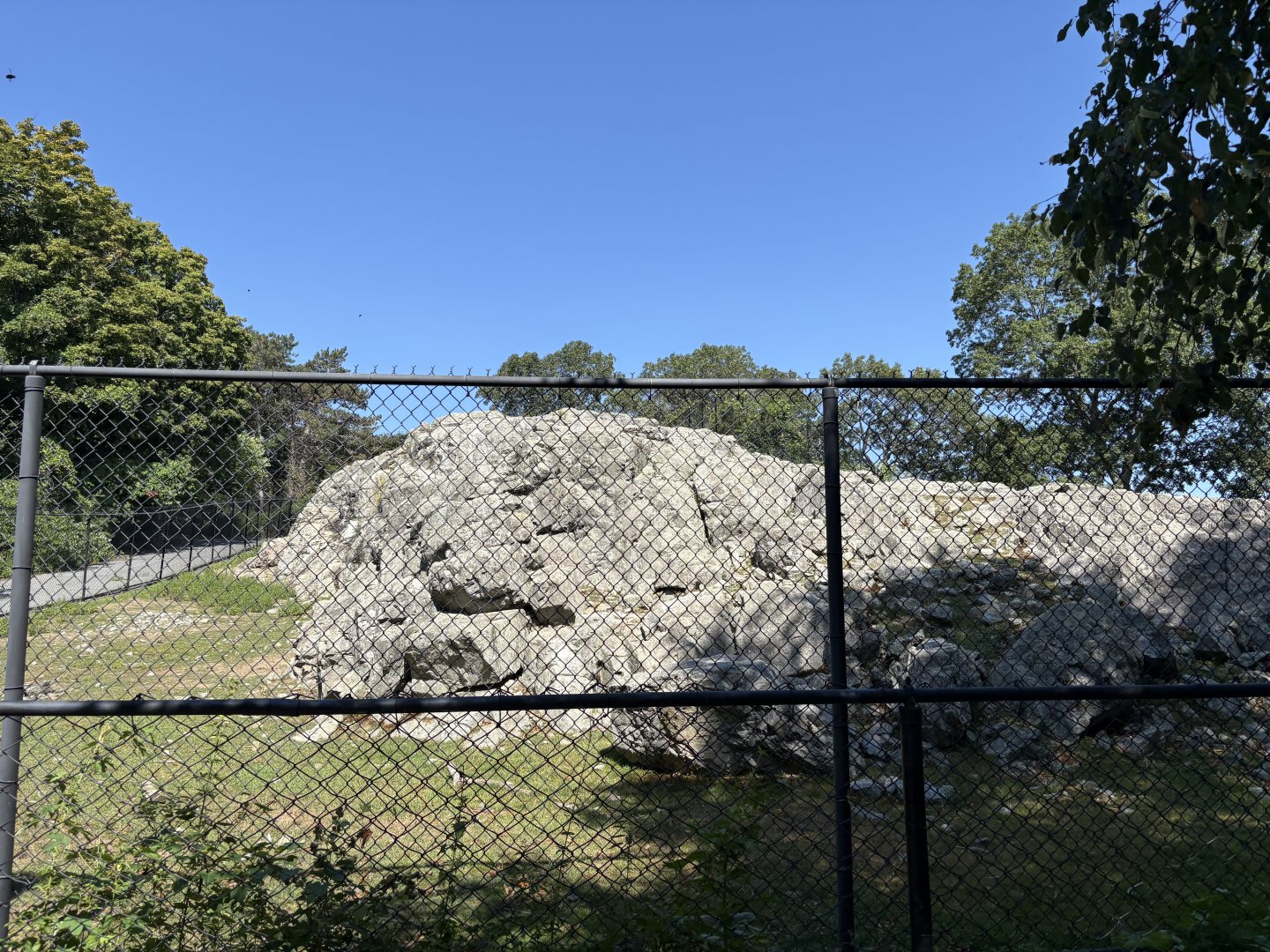 Himalayan Highlands - Markhor Enclosure