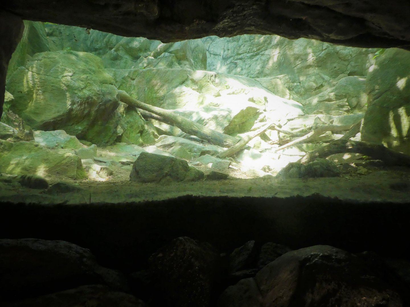 Himalayan Highlands - Second Snow Leopard Exhibit