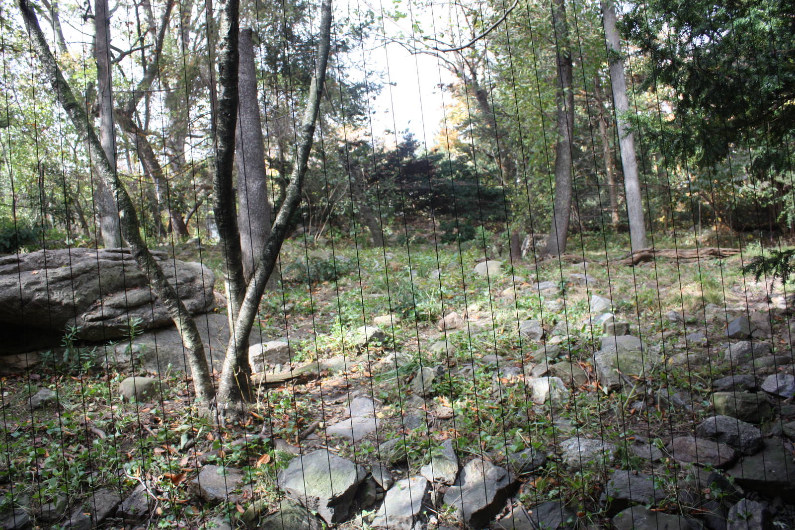 Himalayan Highlands- Snow Leopard Exhibit #1