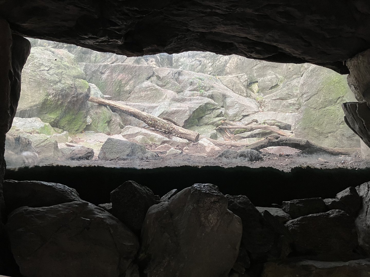 Himalayan Highlands - Snow Leopard Exhibit #2