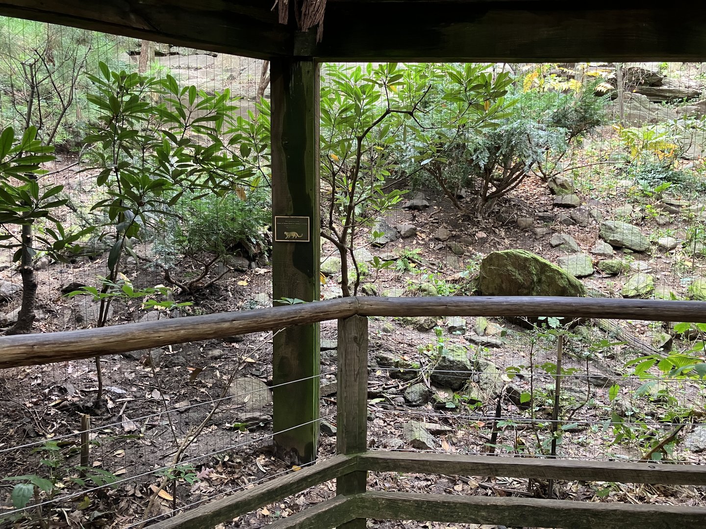 Himalayan Highlands - Snow Leopard Exhibit #3