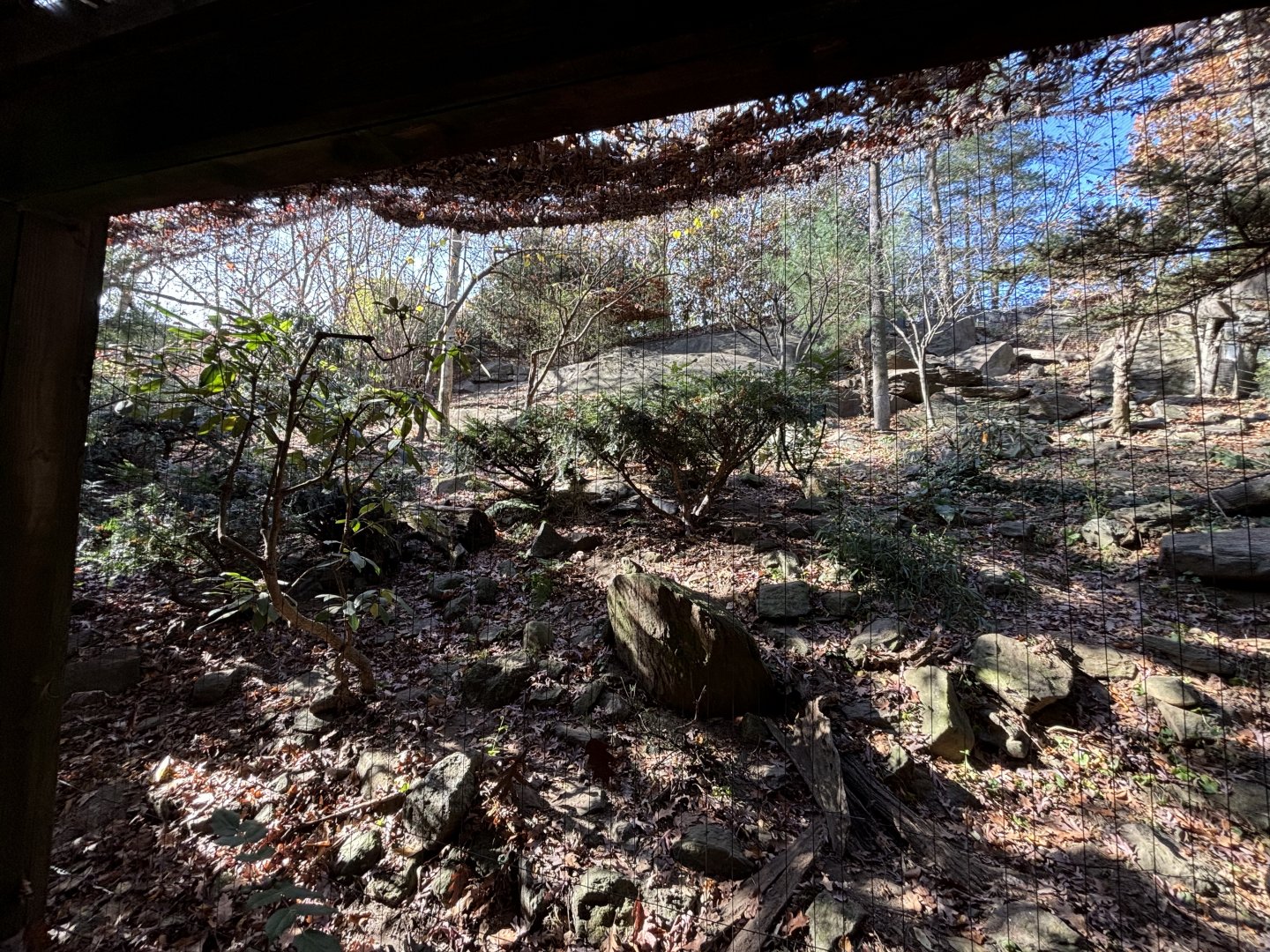 Himalayan Highlands- Snow Leopard Exhibit