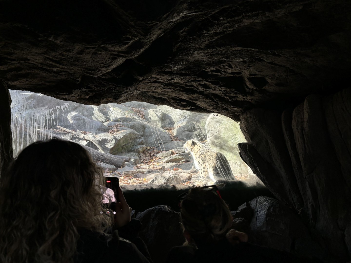 Himalayan Highlands- Snow Leopard Glass Viewing