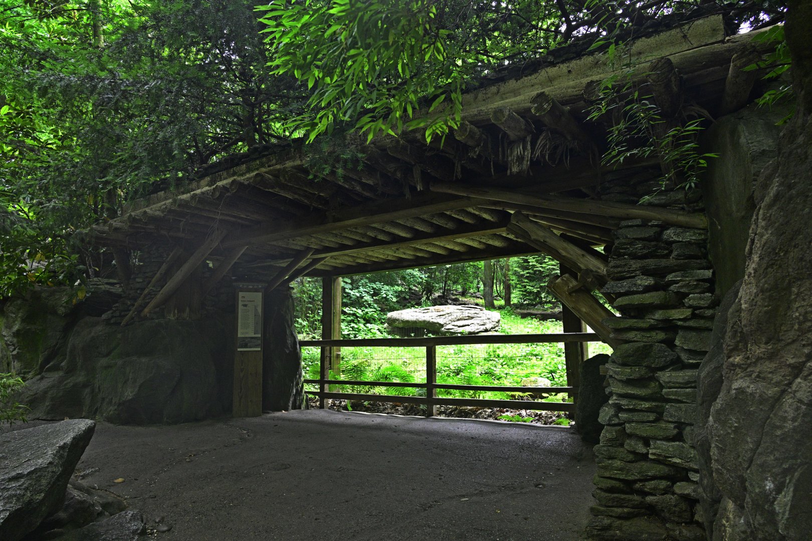 Himalayan Highlands - Snow Leopard (Panthera uncia) Exhibit Viewing Area