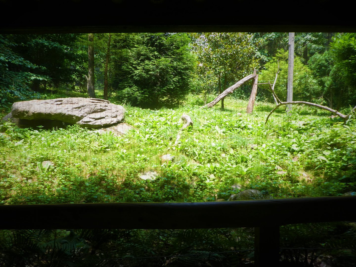 Himalayan Highlands - Third Snow Leopard Exhibit