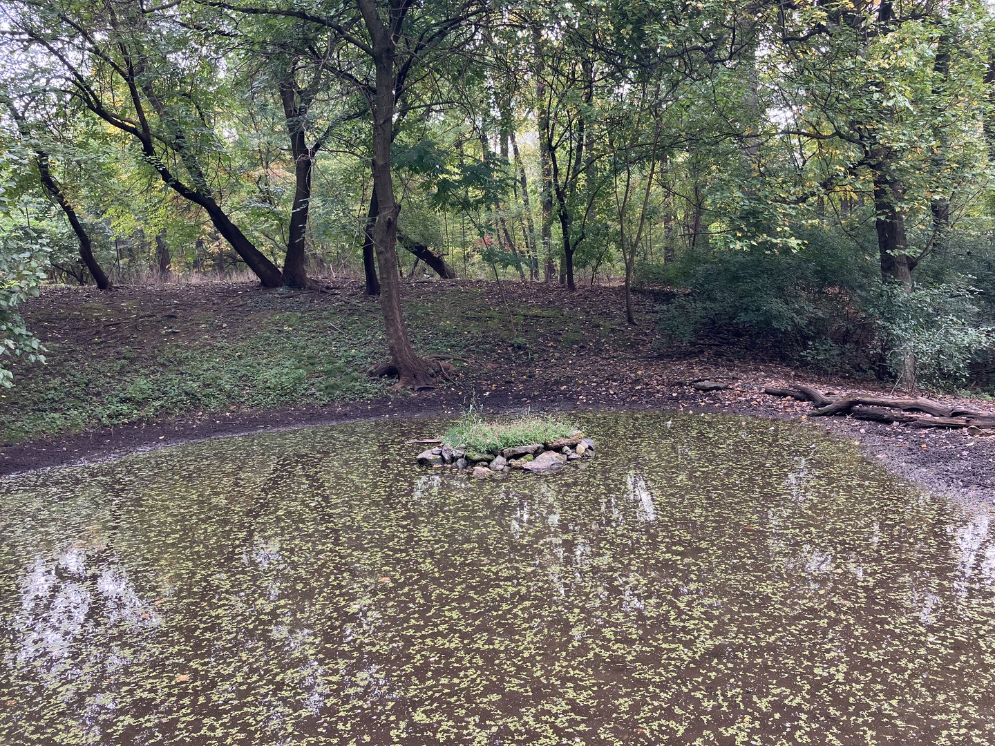 Himalayan Highlands - White-Naped Crane Exhibit