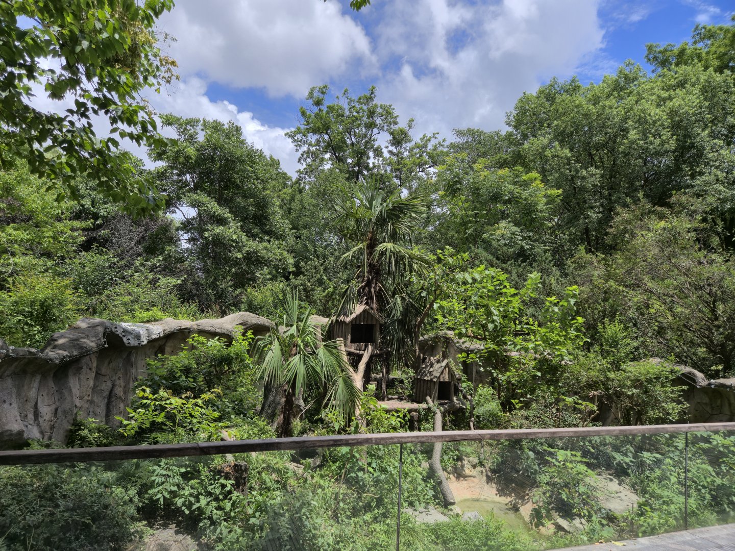 Himalayan Masked Palm Civet exhibit