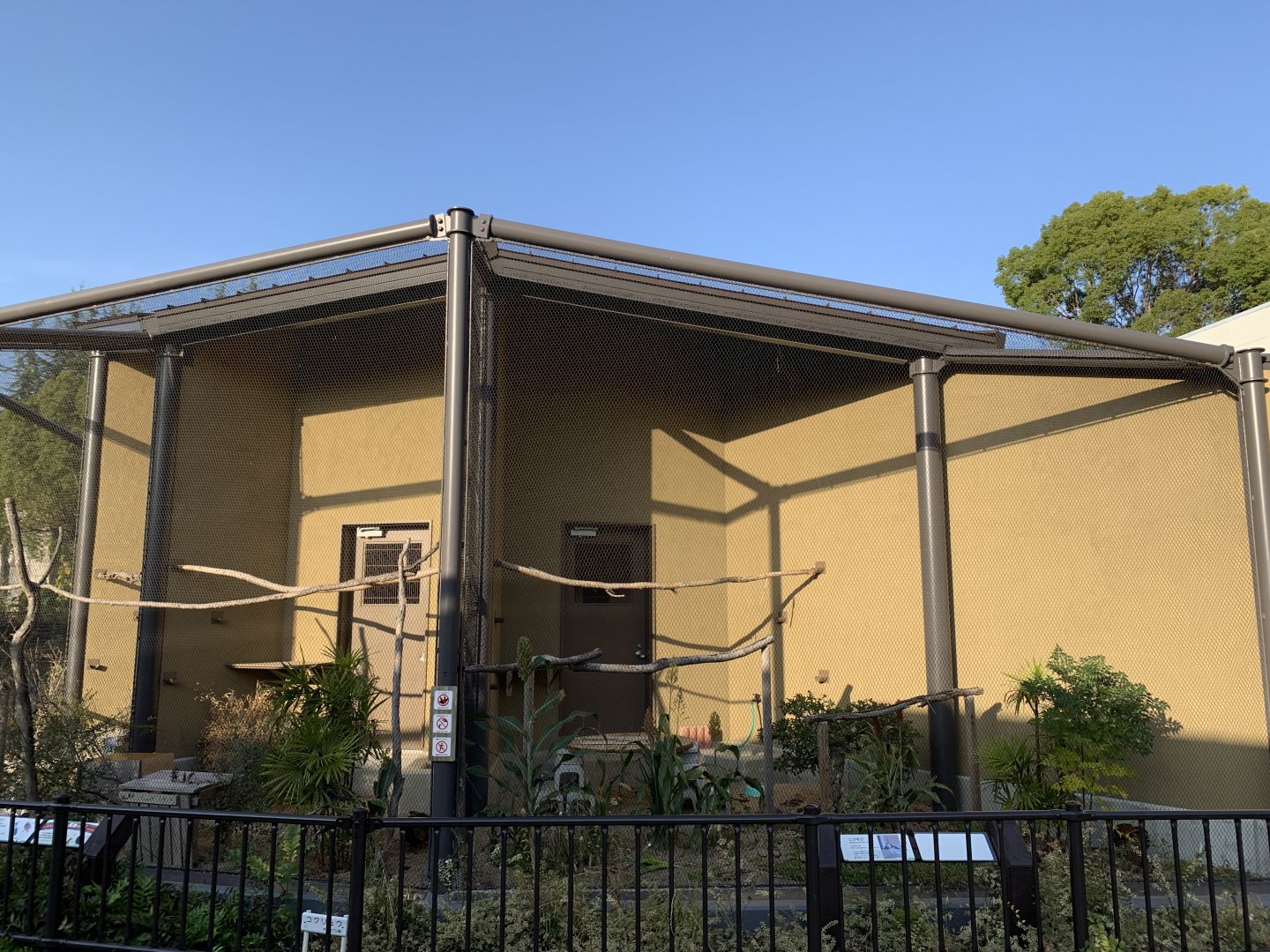 Himalayan Monal Aviaries