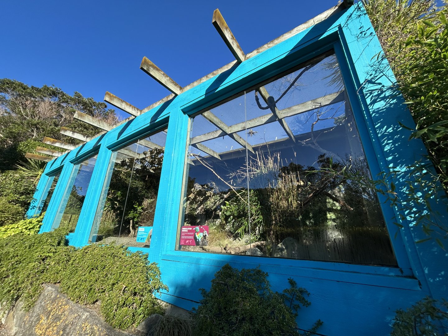 Himalayan Monal & Derbyan Parakeet Exhibit