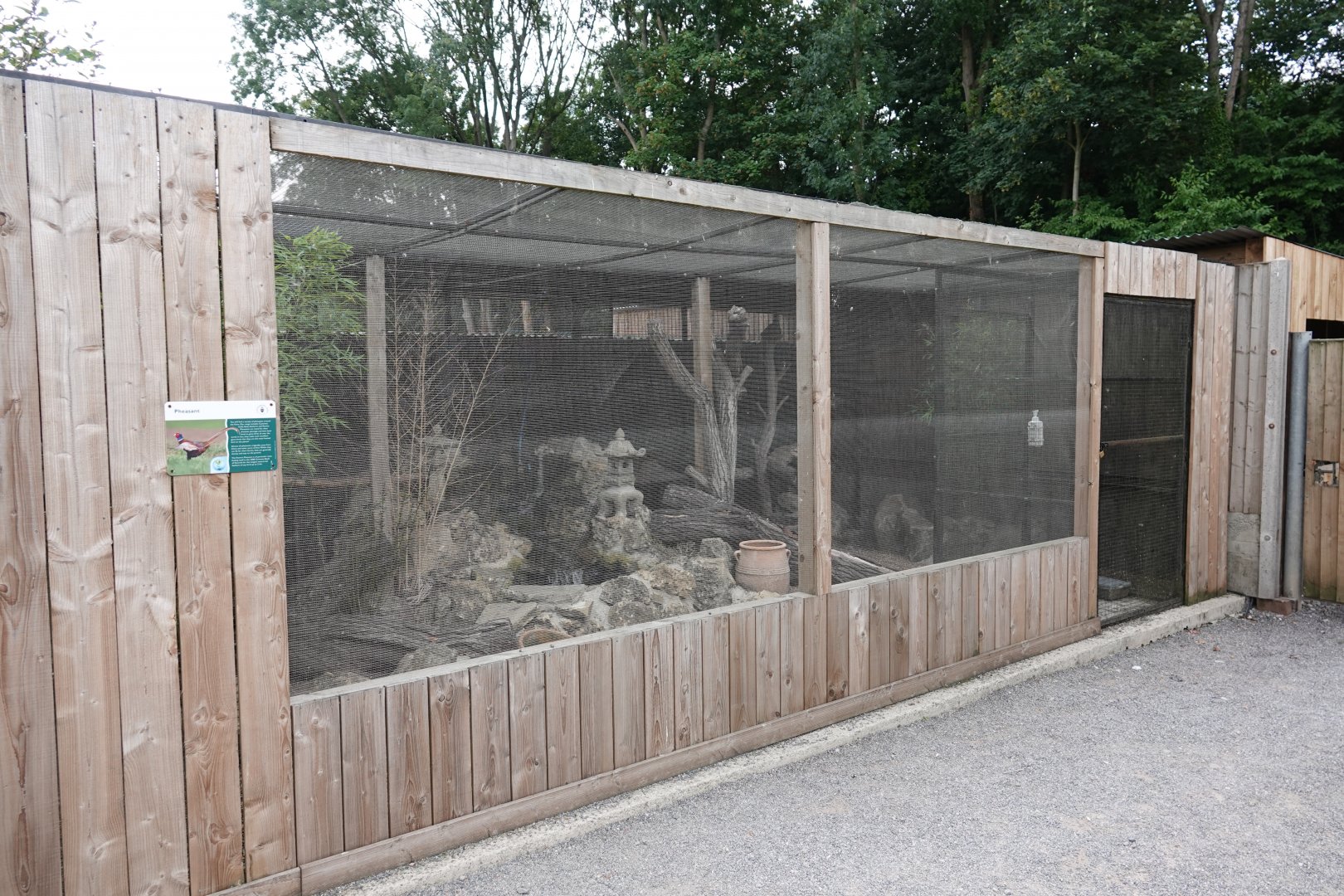 Himalayan monal enclosure