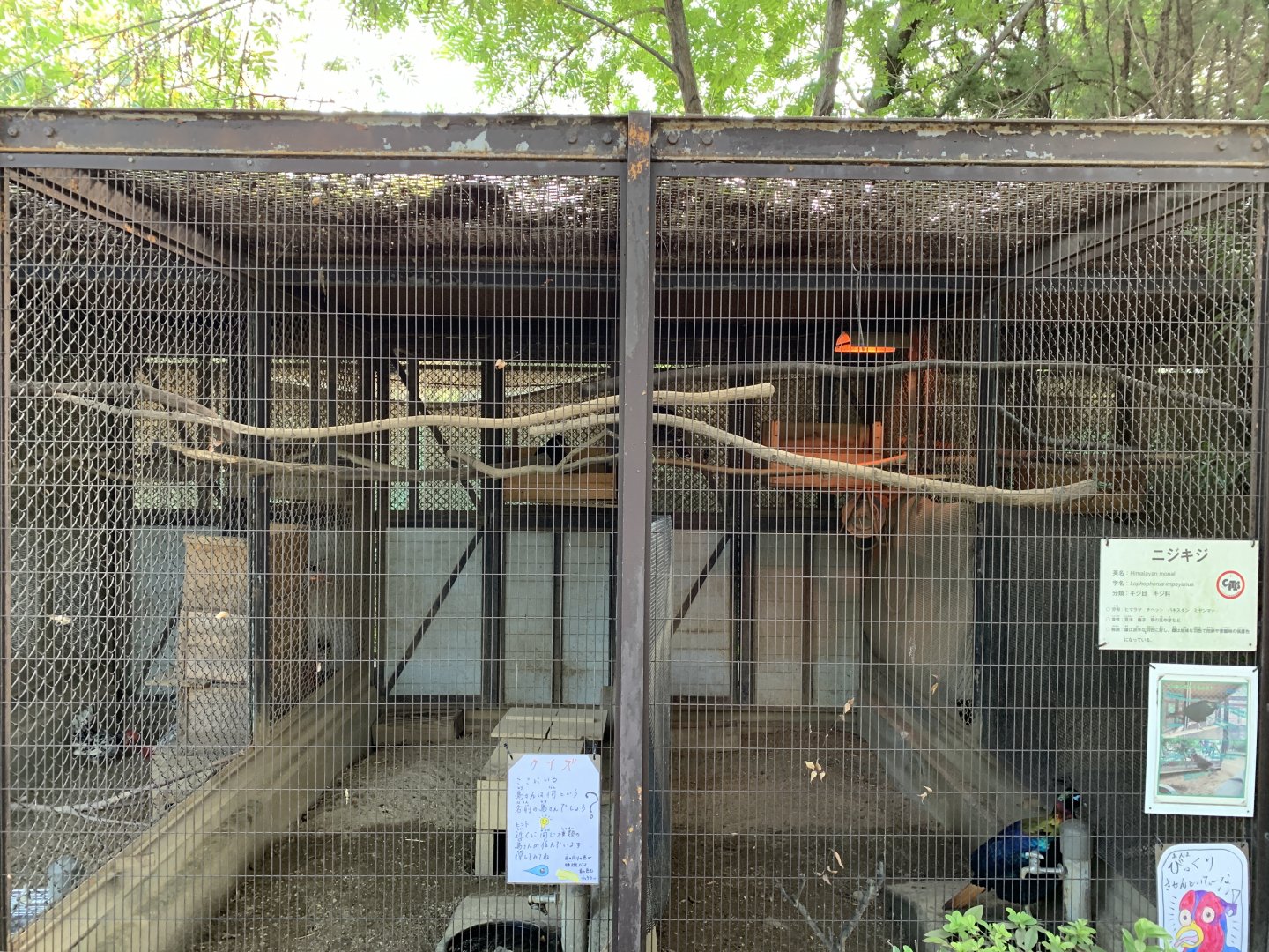 Himalayan Monal Enclosures (Himeji City Zoo)