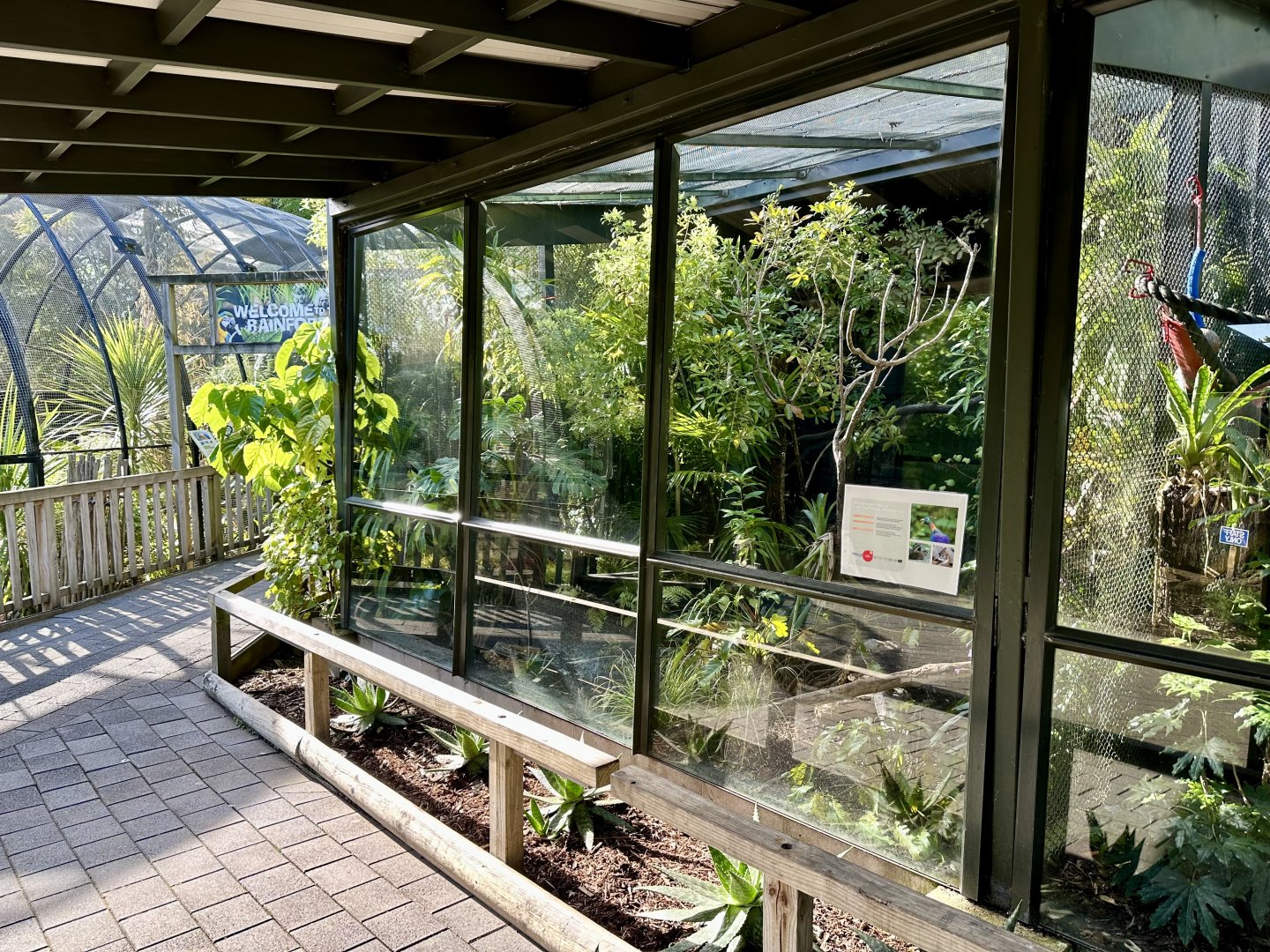 Himalayan monal exhibit (new)