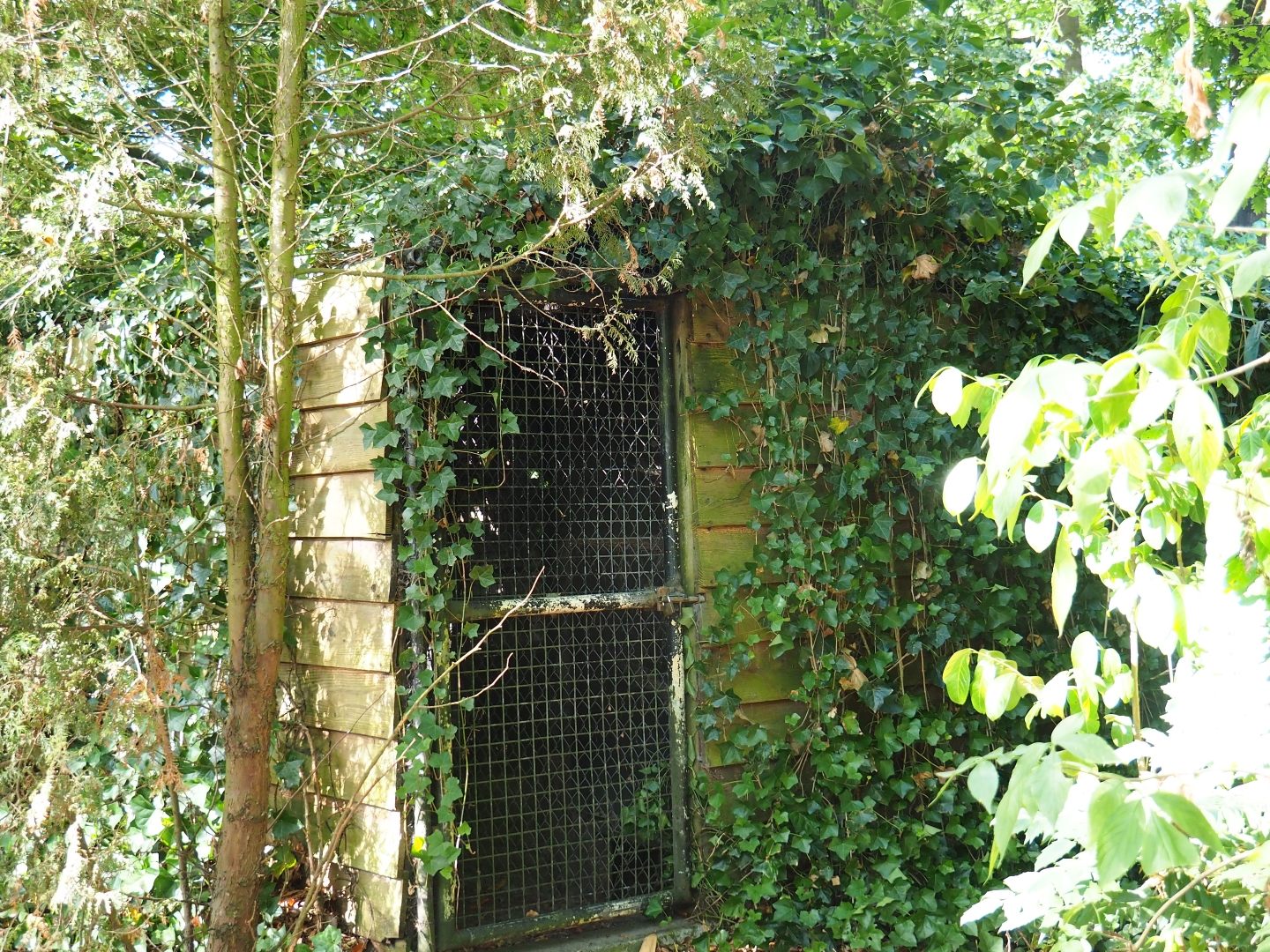 Himalayan monal holding shack