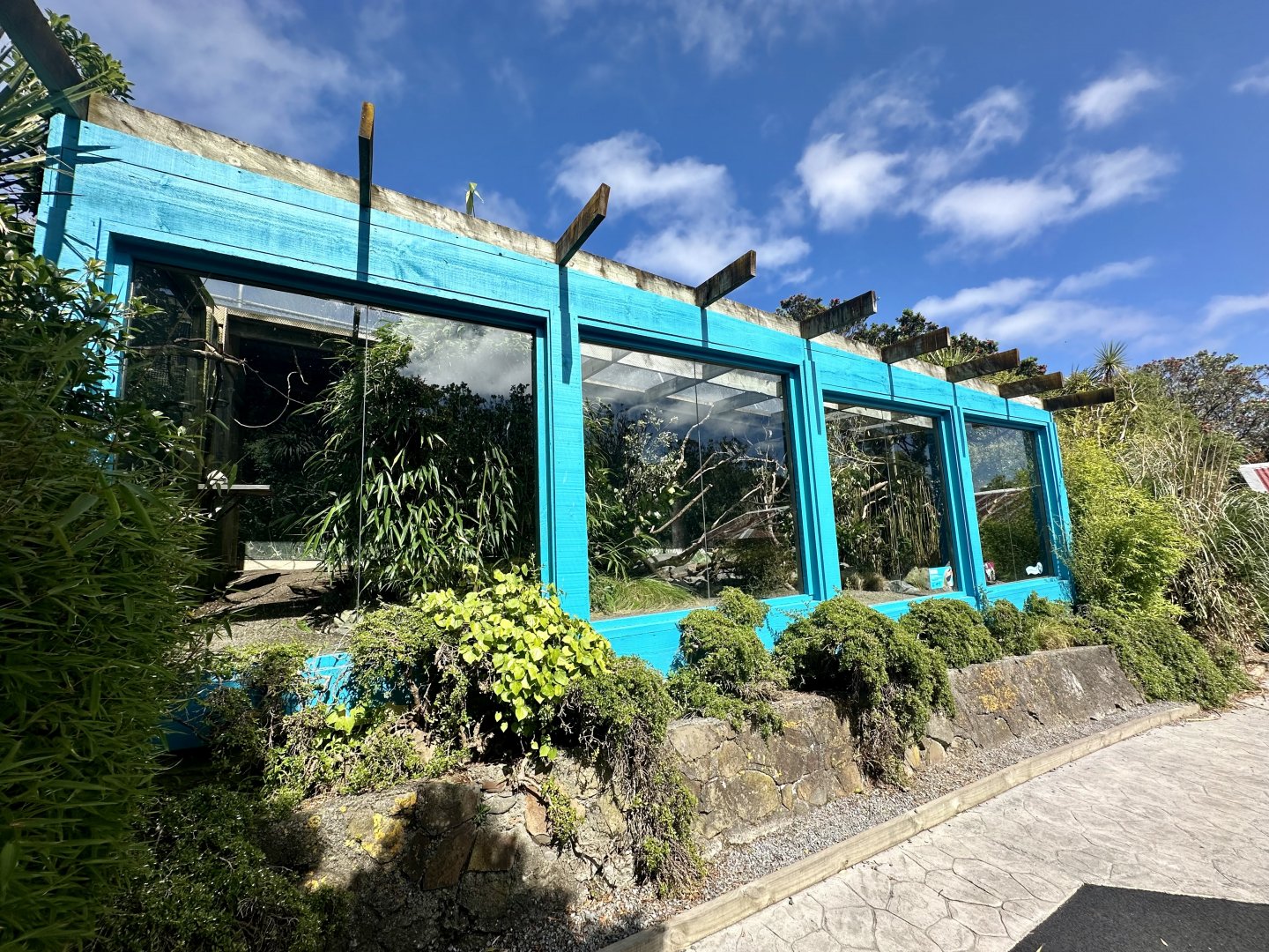 Himalayan Monal House