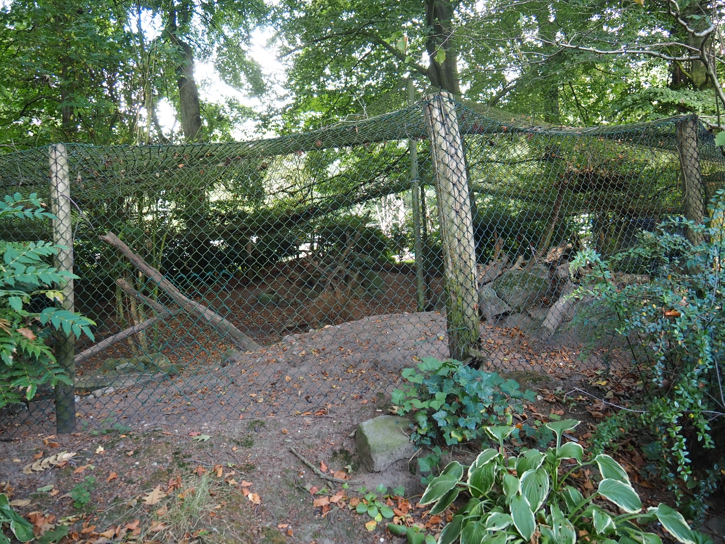 Himalayan monal pheasant exhibit