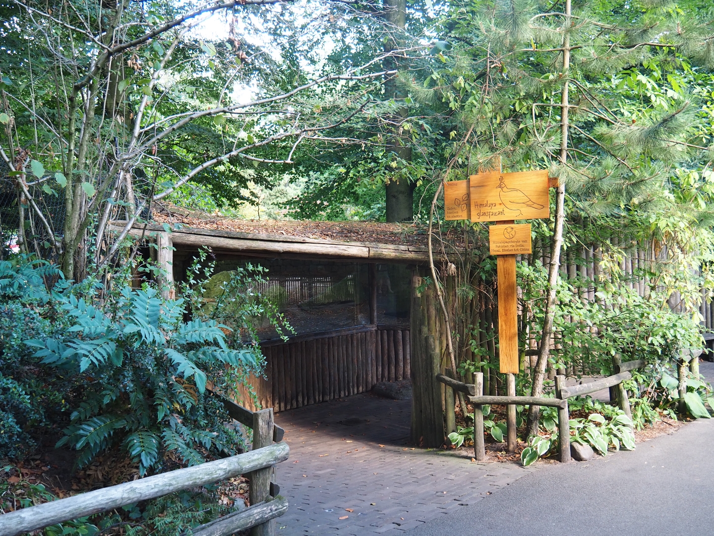 Himalayan monal pheasant viewing area