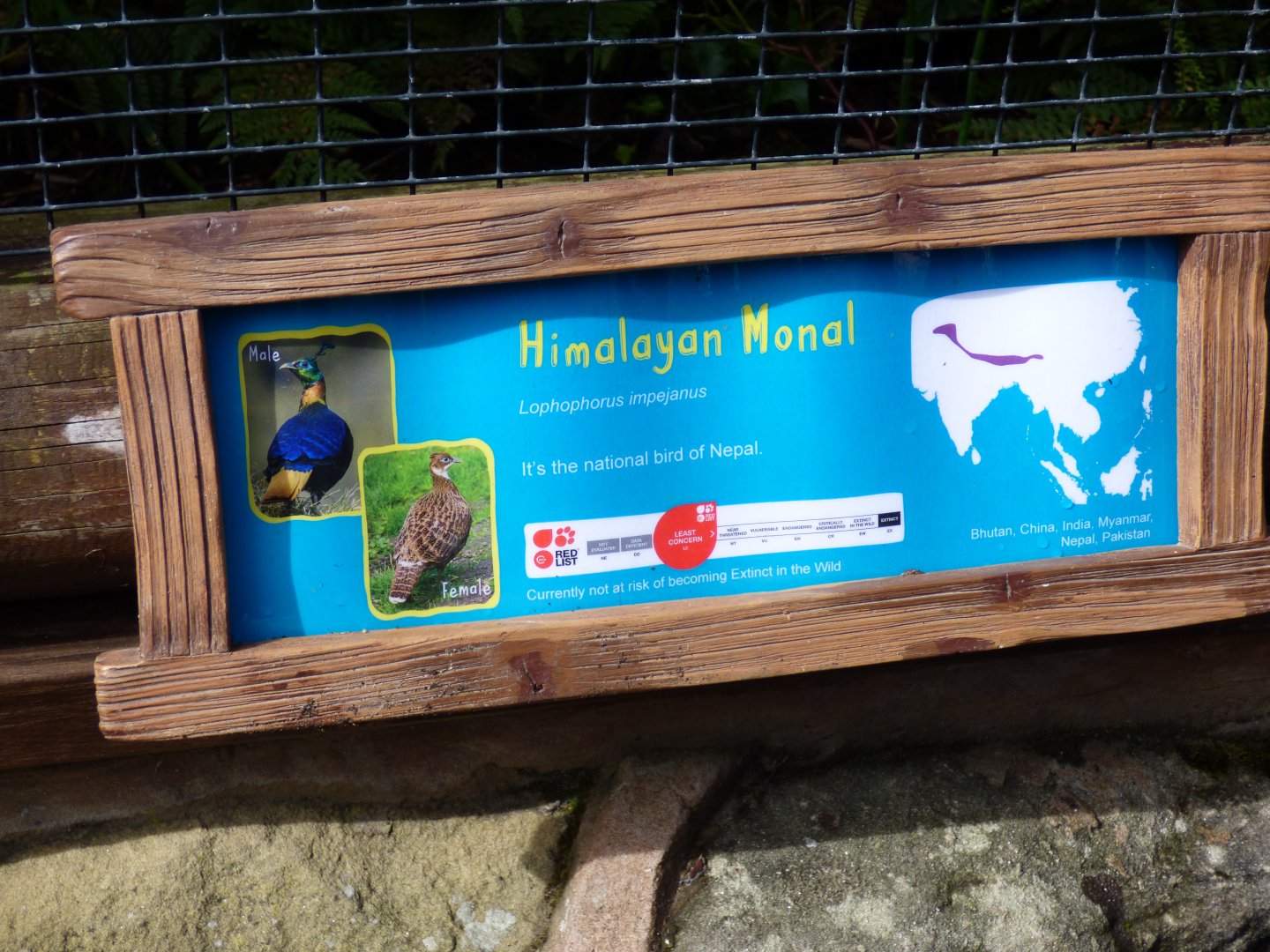 Himalayan Monal Signage