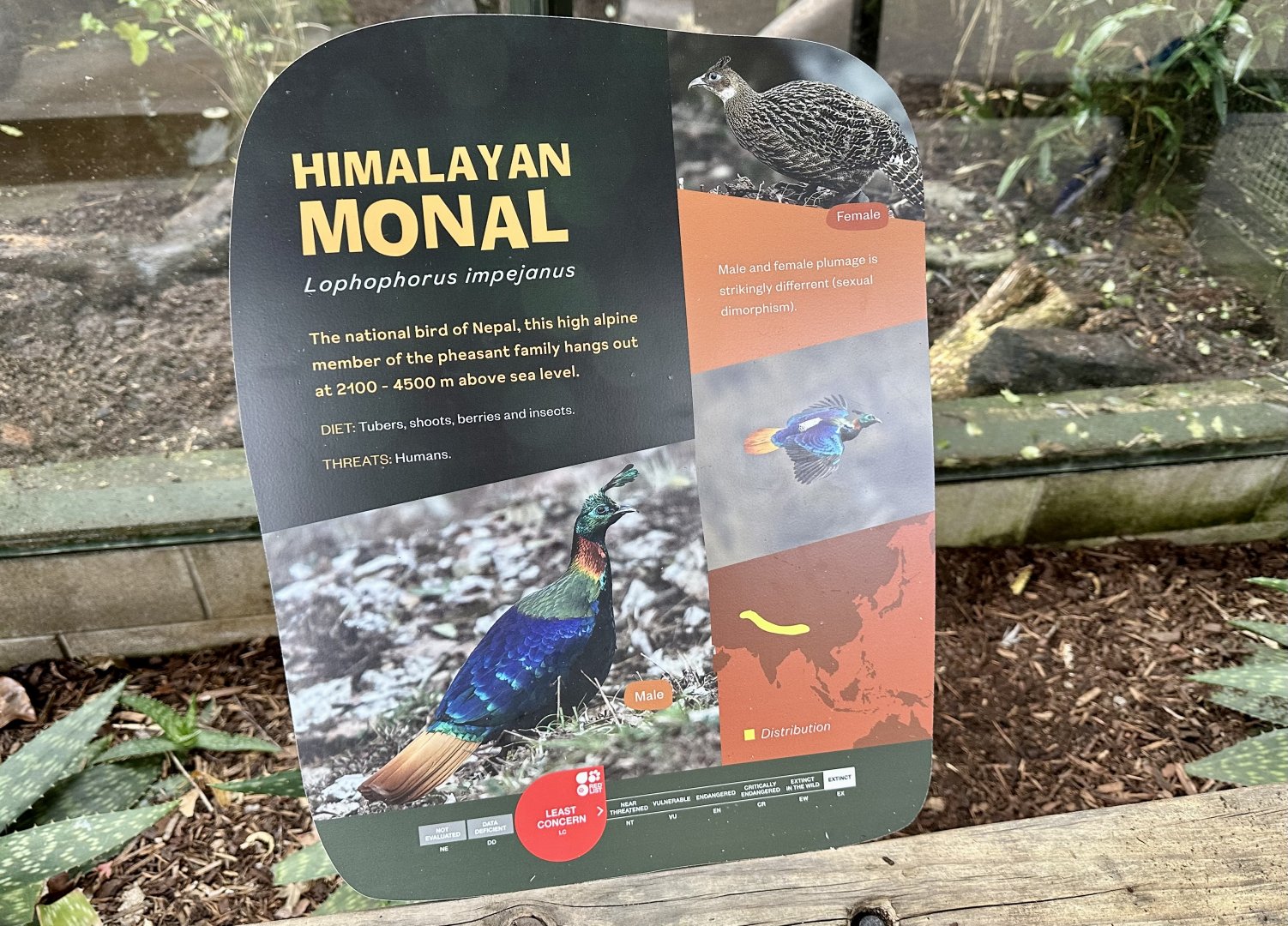 Himalayan Monal Signage
