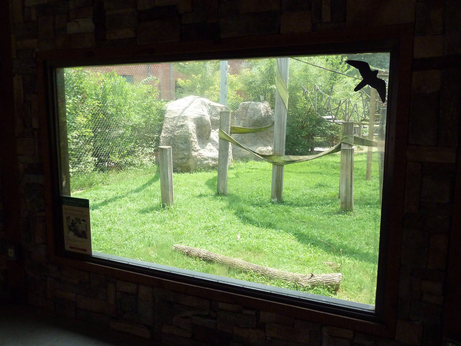 Himalayan Passage - Hanuman Langur Exhibit