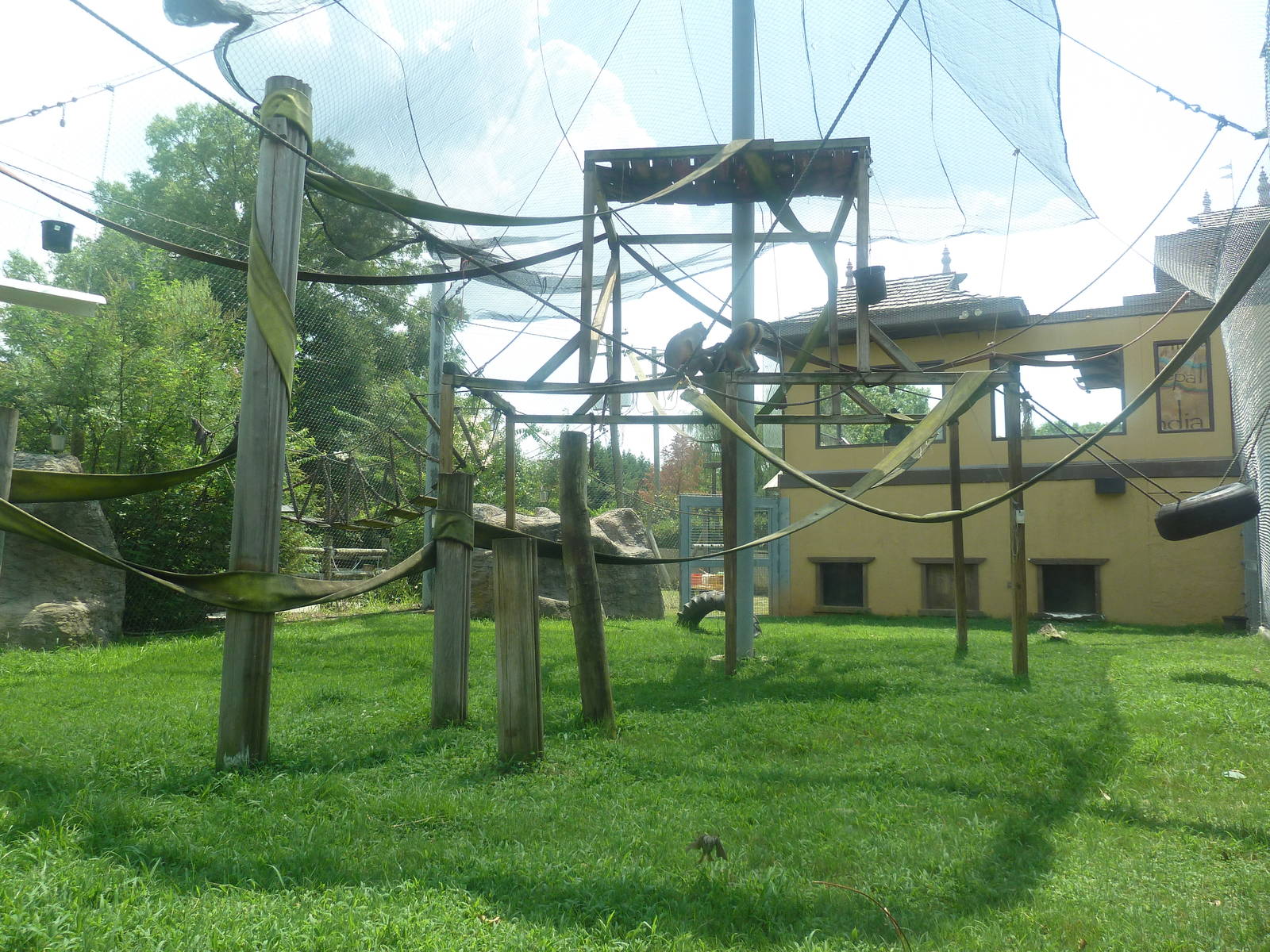 Himalayan Passage - Hanuman Langur Exhibit