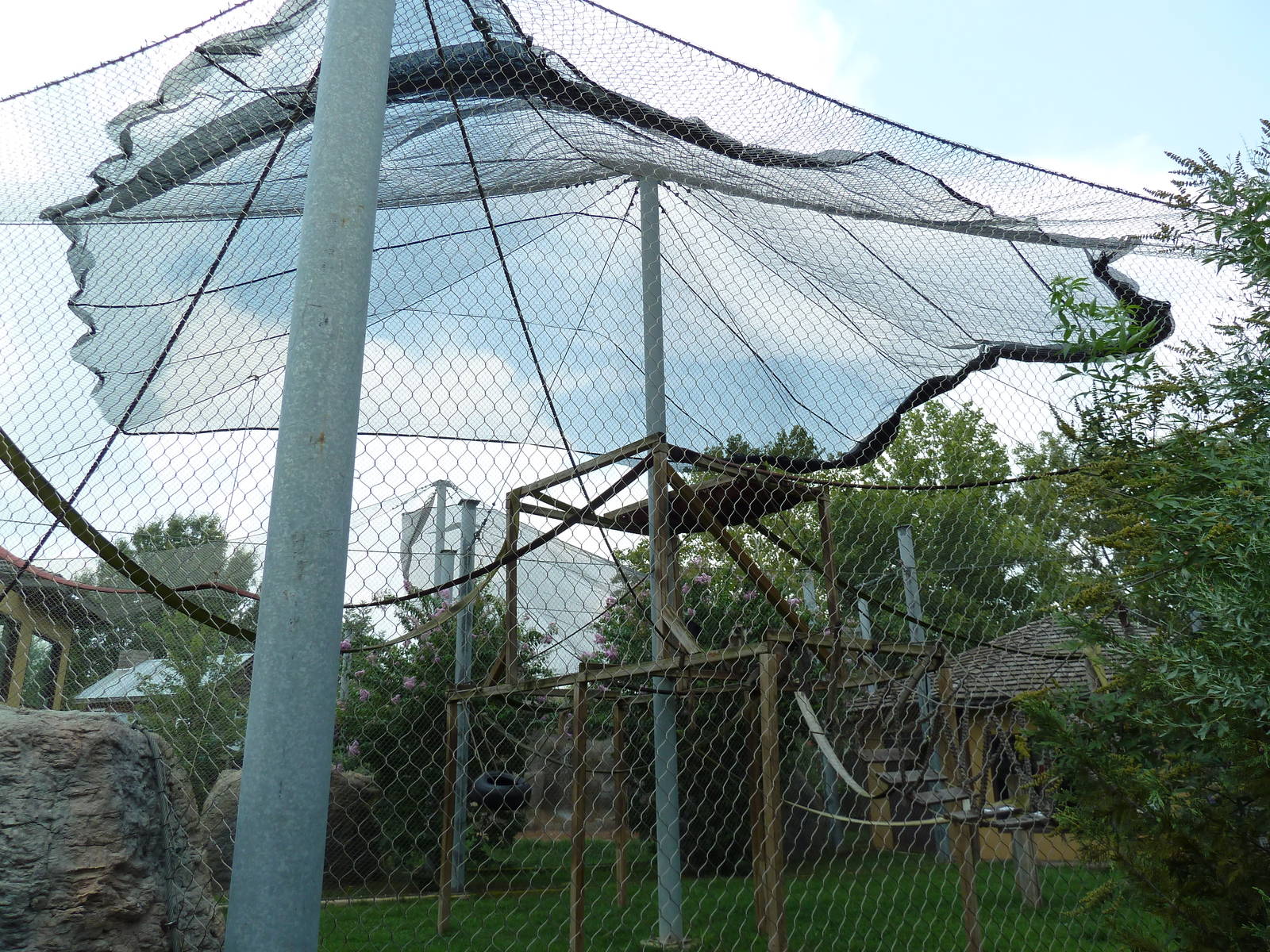 Himalayan Passage - Hanuman Langur Exhibit