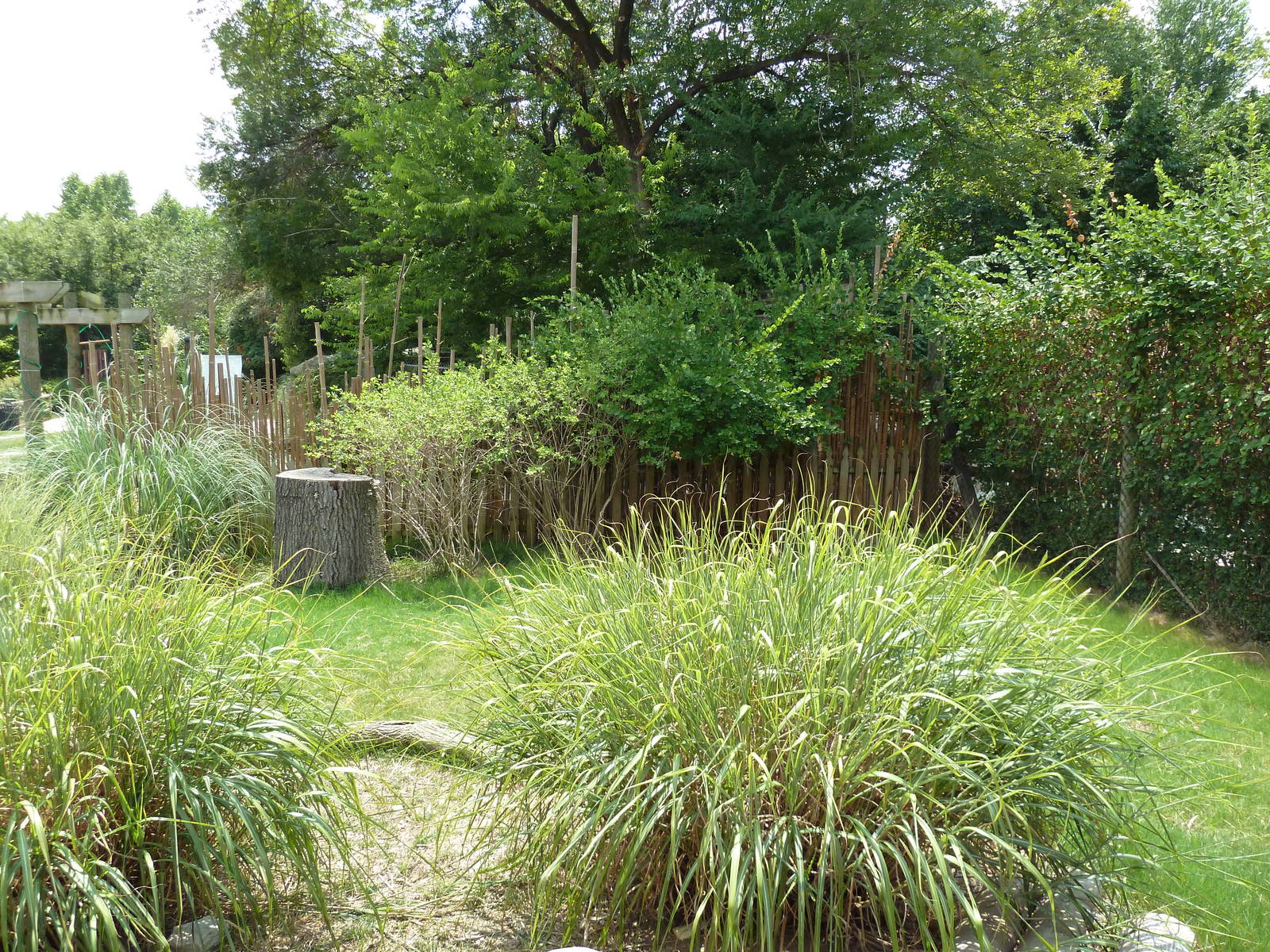 Himalayan Passage - Indian Muntjac Exhibit