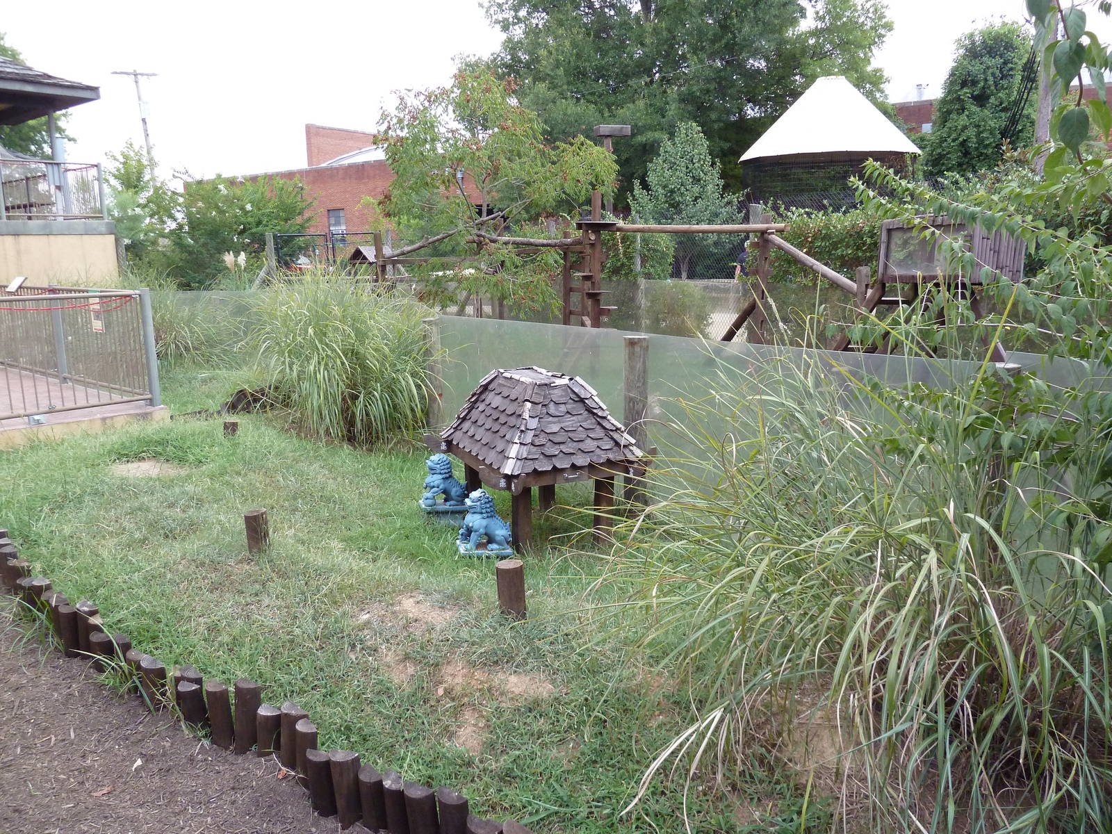 Himalayan Passage - Indian Star Tortoise Exhibit