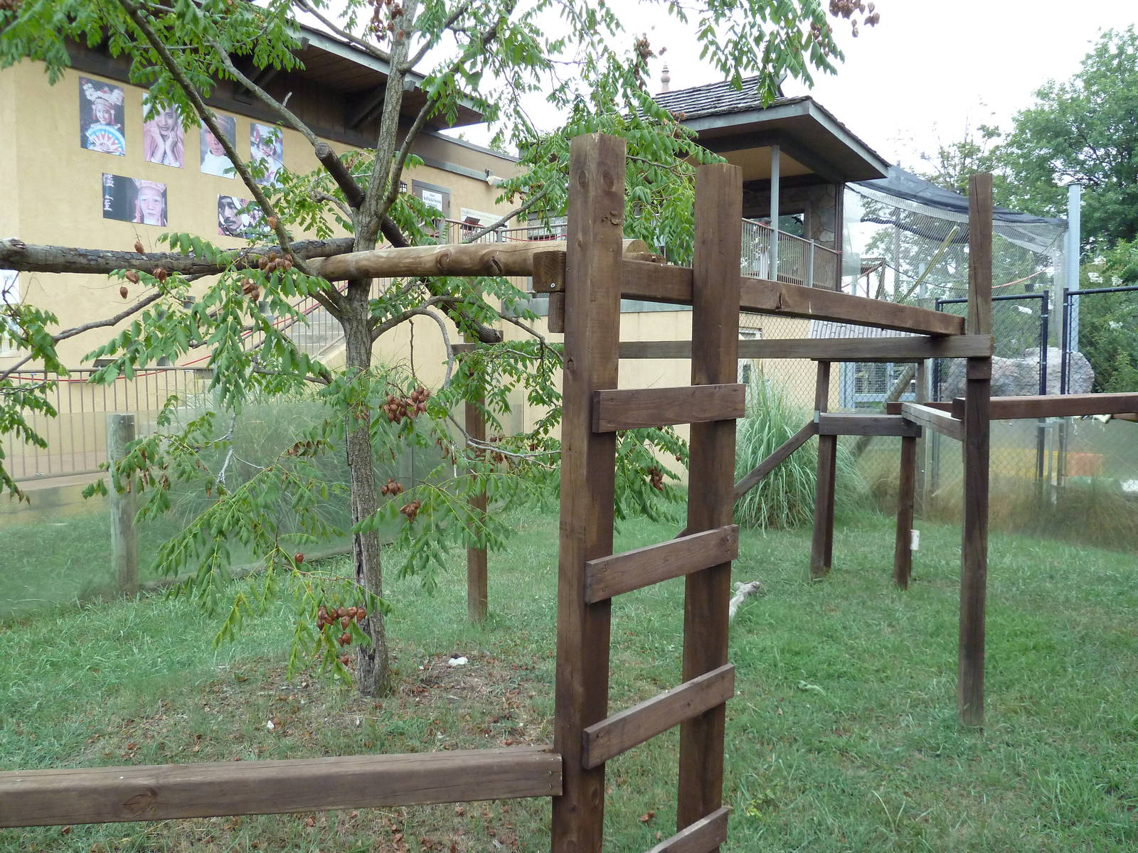 Himalayan Passage - Red Panda Exhibit