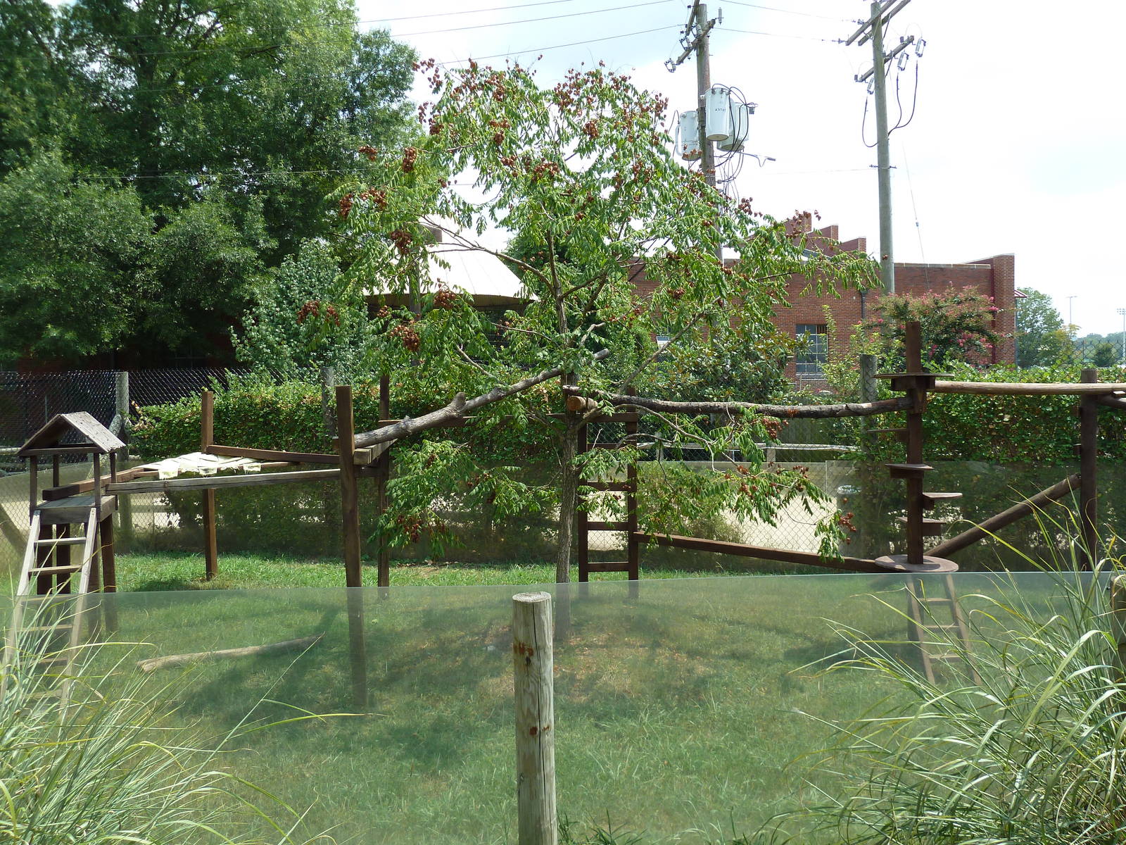 Himalayan Passage - Red Panda Exhibit