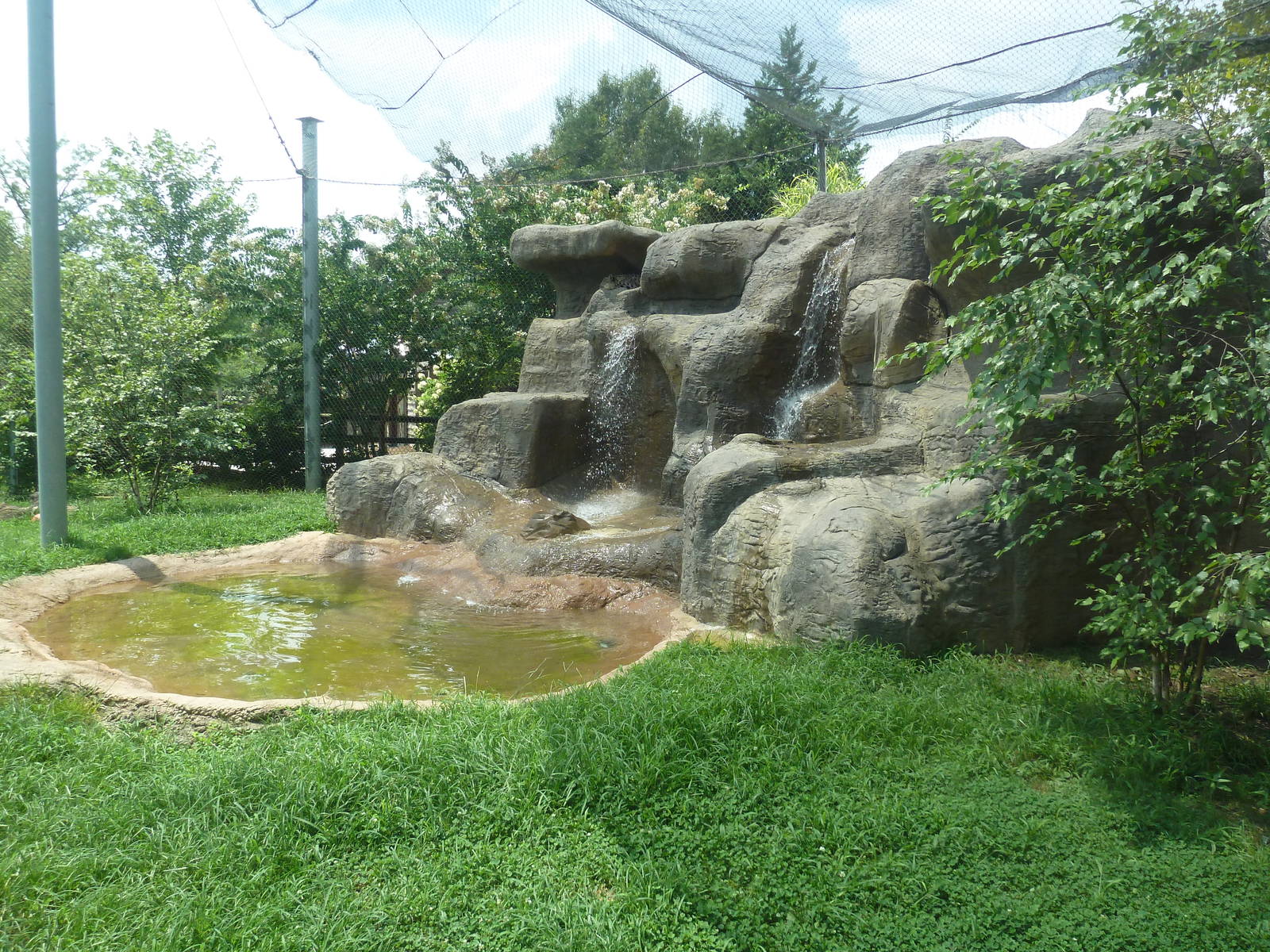 Himalayan Passage - Snow Leopard Exhibit
