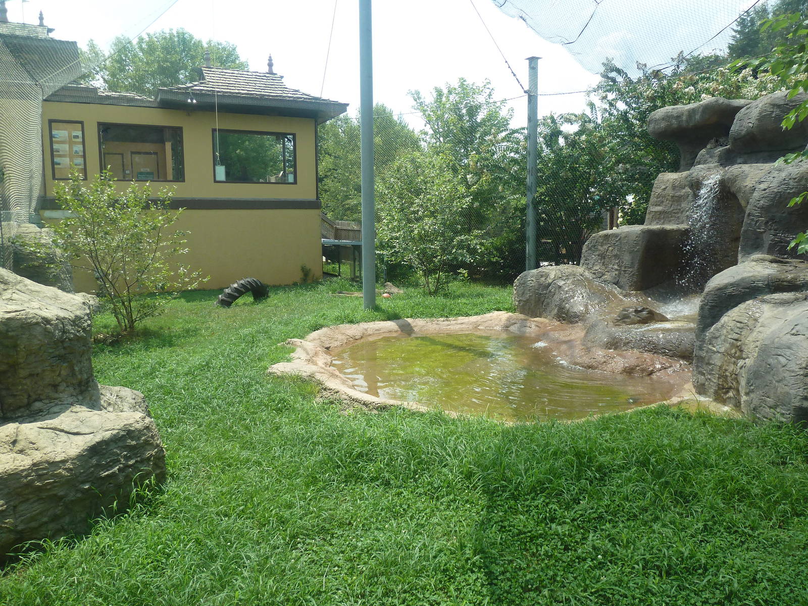 Himalayan Passage - Snow Leopard Exhibit