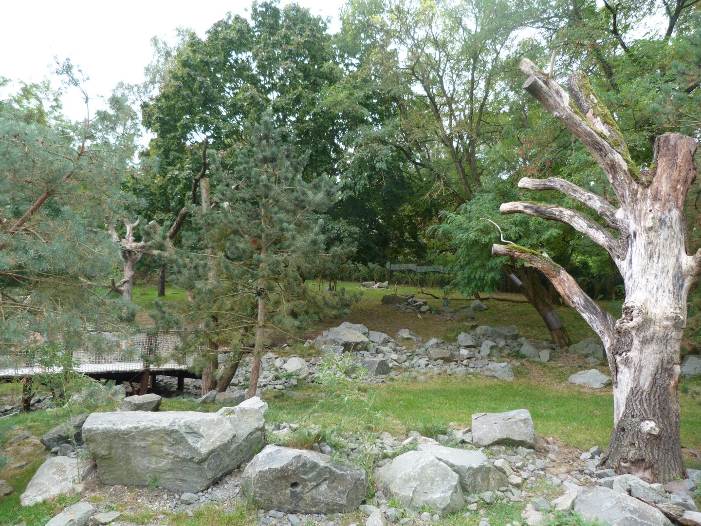 Himalayan red panda and Mischie's tufted deer exhibit -Tierpark Berlin (2024)