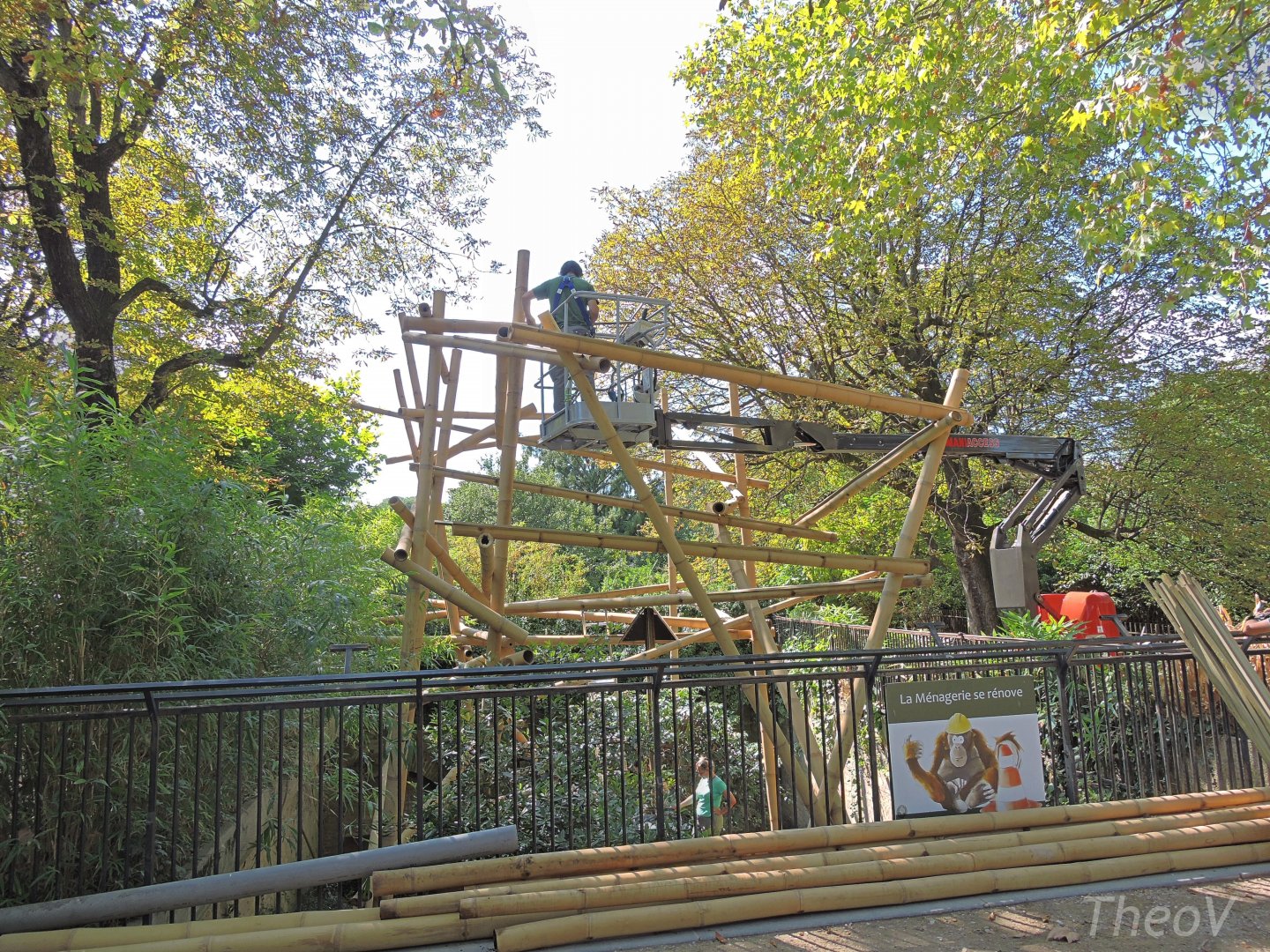 Himalayan red panda exhibit [2015]