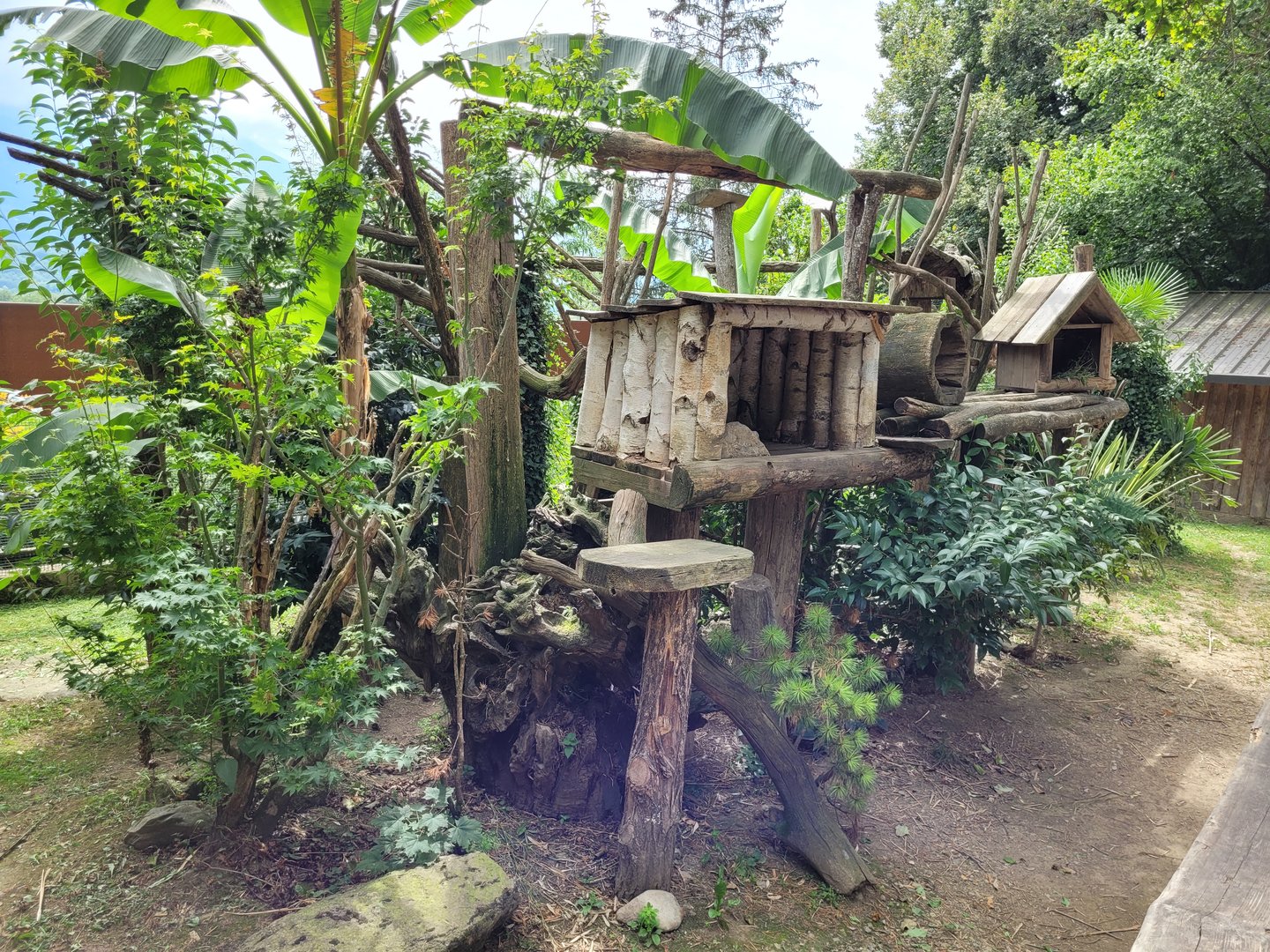 Himalayan red panda exhibit -Parc Animalier des Pyrénées (2023)