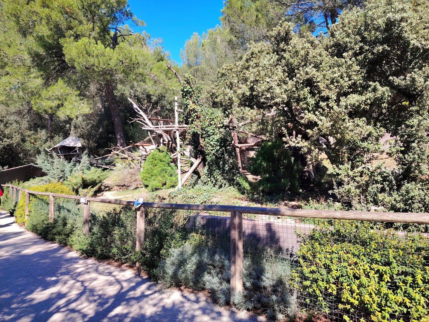 Himalayan Red Panda Exhibit
