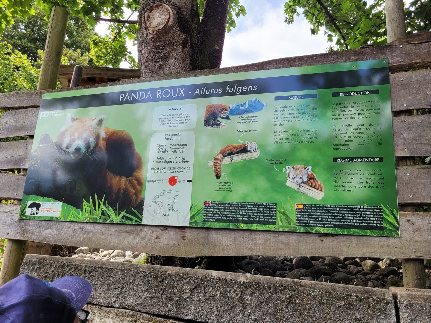 Himalayan red panda sign -Parc Animalier des Pyrénées (2023)