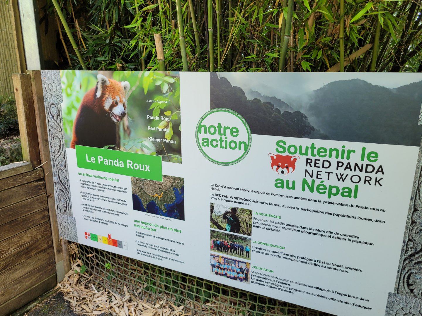 Himalayan red panda sign -Zoo d'Asson (2022)