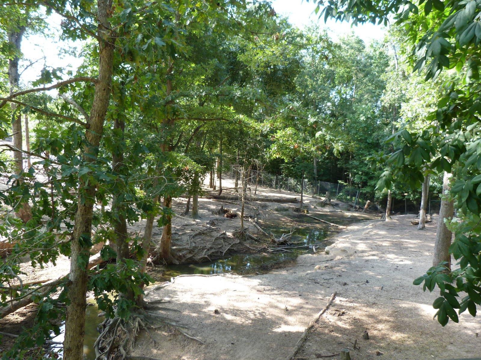 Himalayan Tahr/Armenian Mouflon/Blackbuck/Mishmi Takin Exhibit