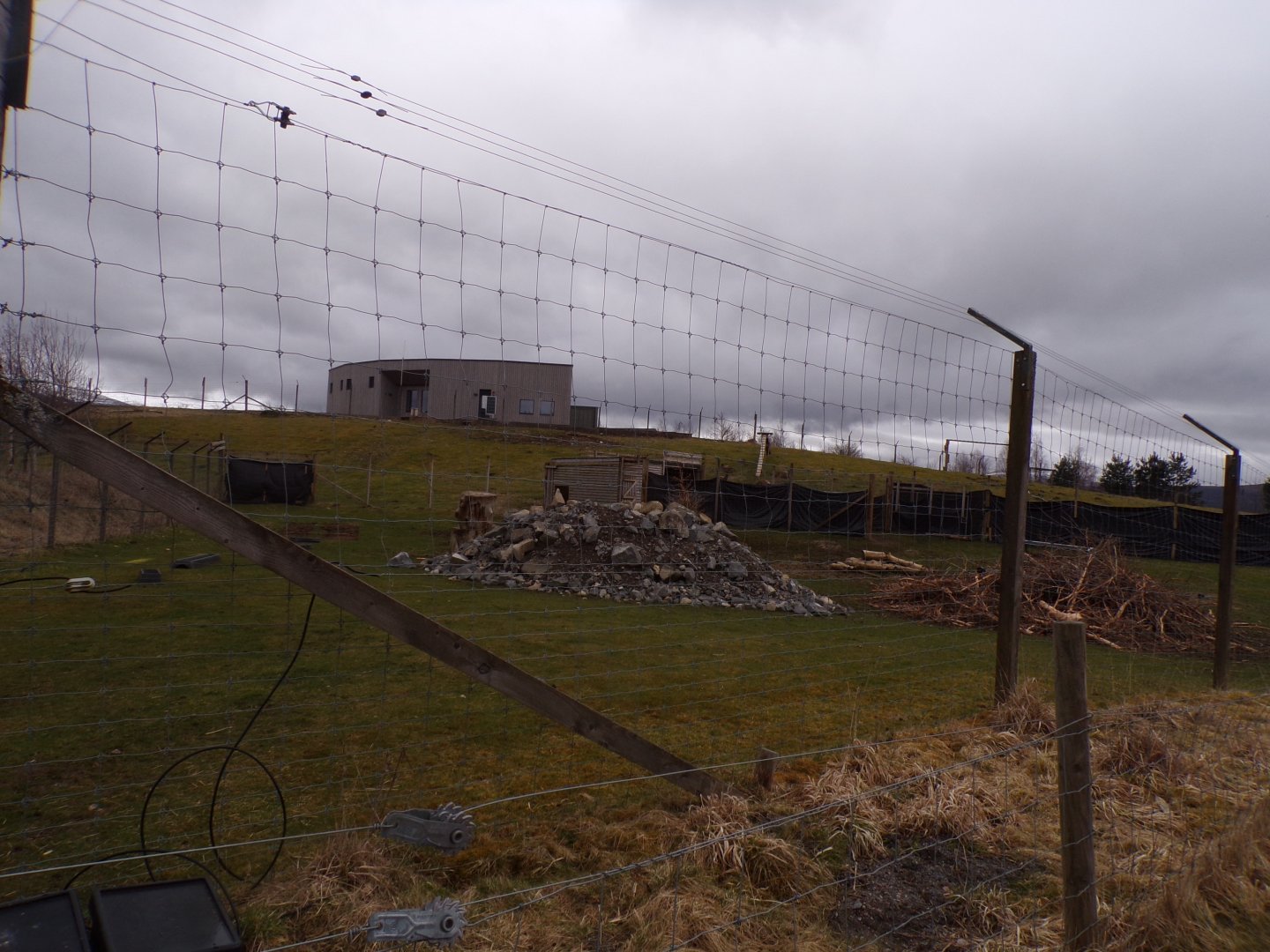 Himalayan tahr enclosure 5.4.24