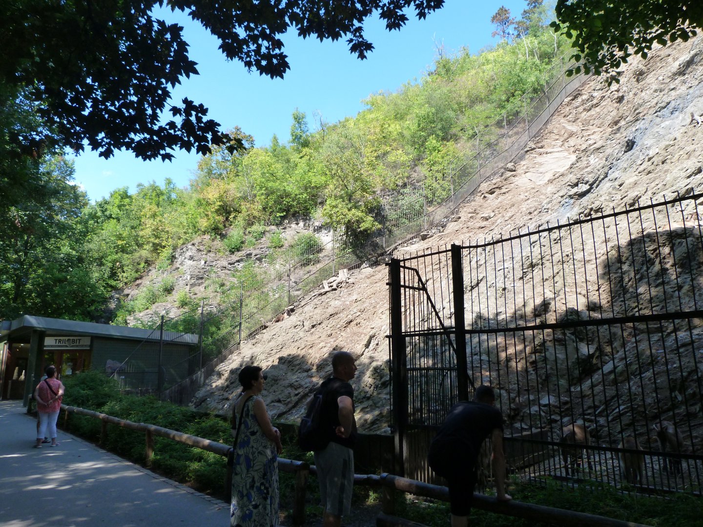 Himalayan tahr exhibit -Zoo Praha (2025)