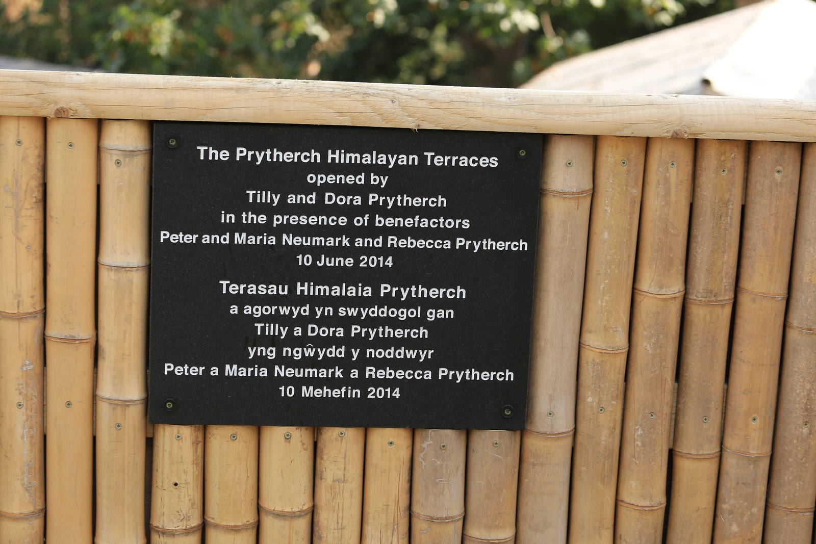 Himalayan Terrance Dedication