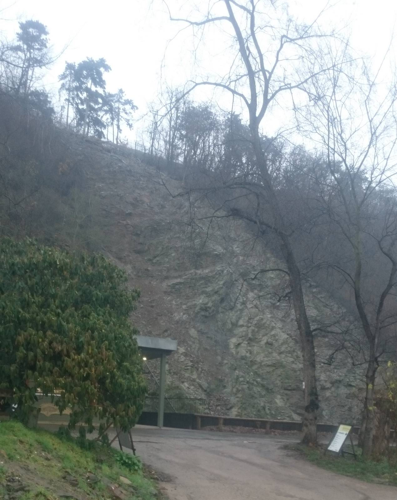 Himalayan thar enclosure