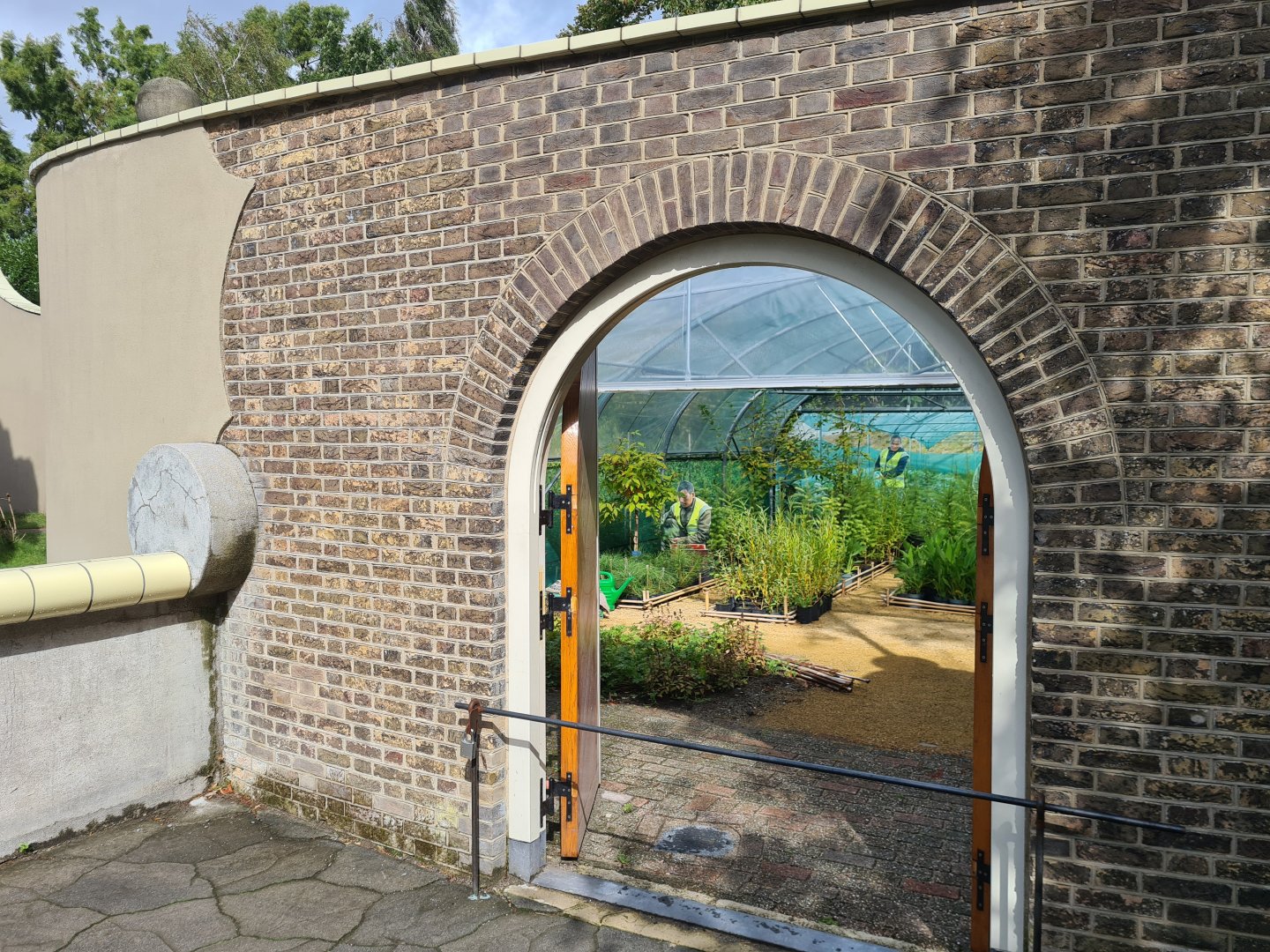 Himalayan tree nursery