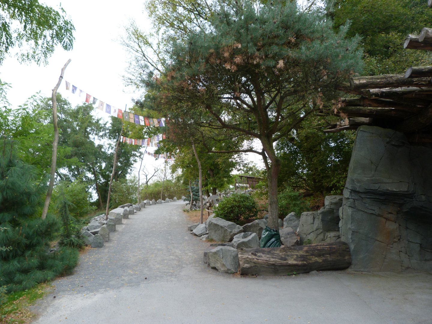 Himalayan view -Tierpark Berlin (2024)