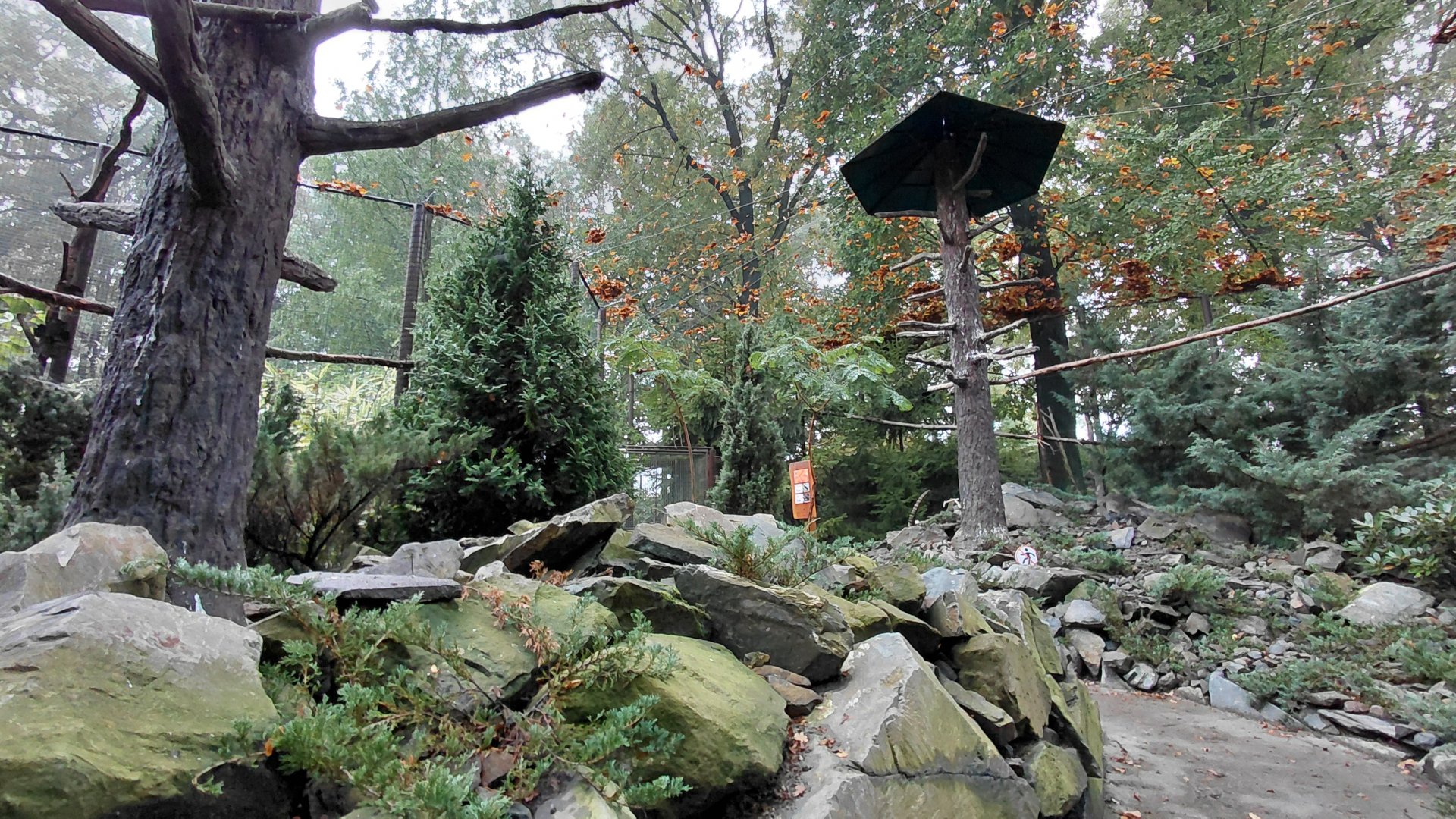 Himalayan walkthrough aviary