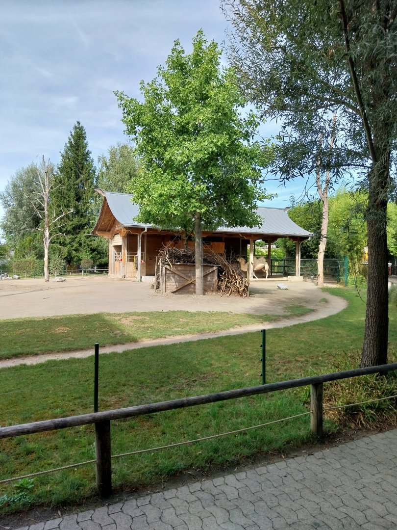 Himmapan - Bactrian camel stable